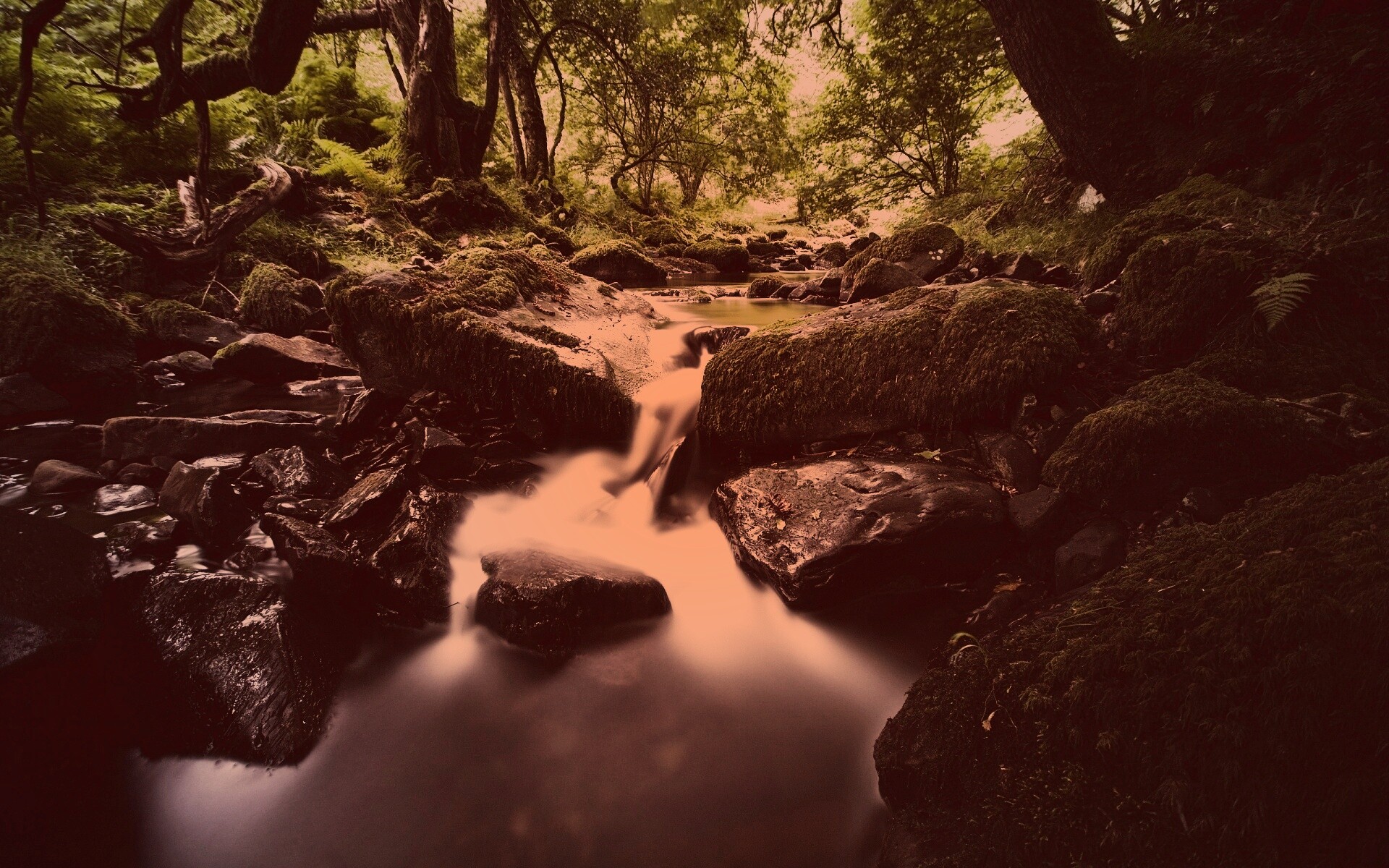 Речной поток в лесу обои