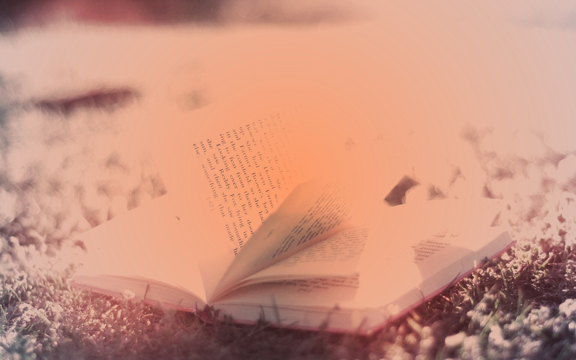 Книга в нежном свете обои