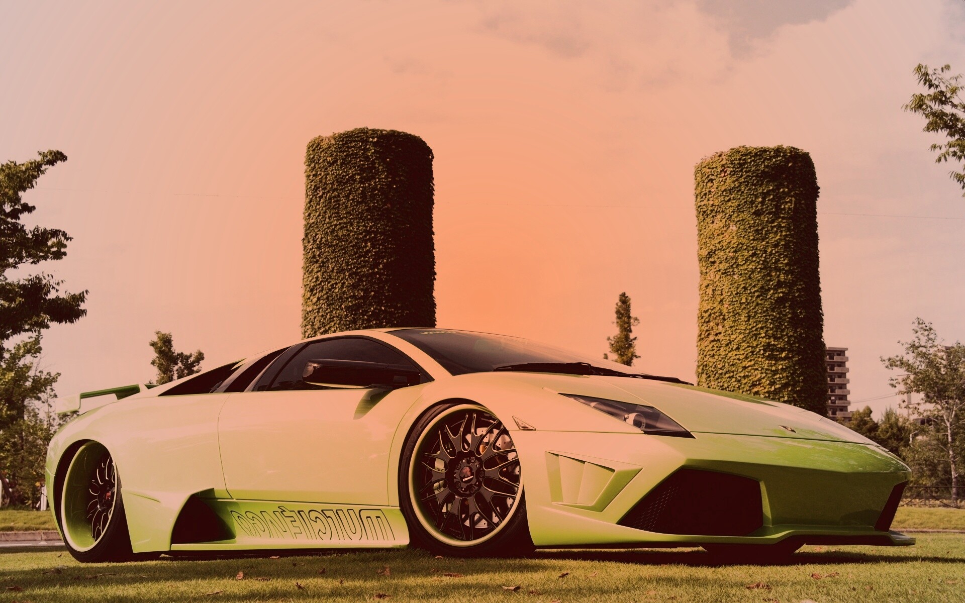 Зелёный Ламборджини на траве обои