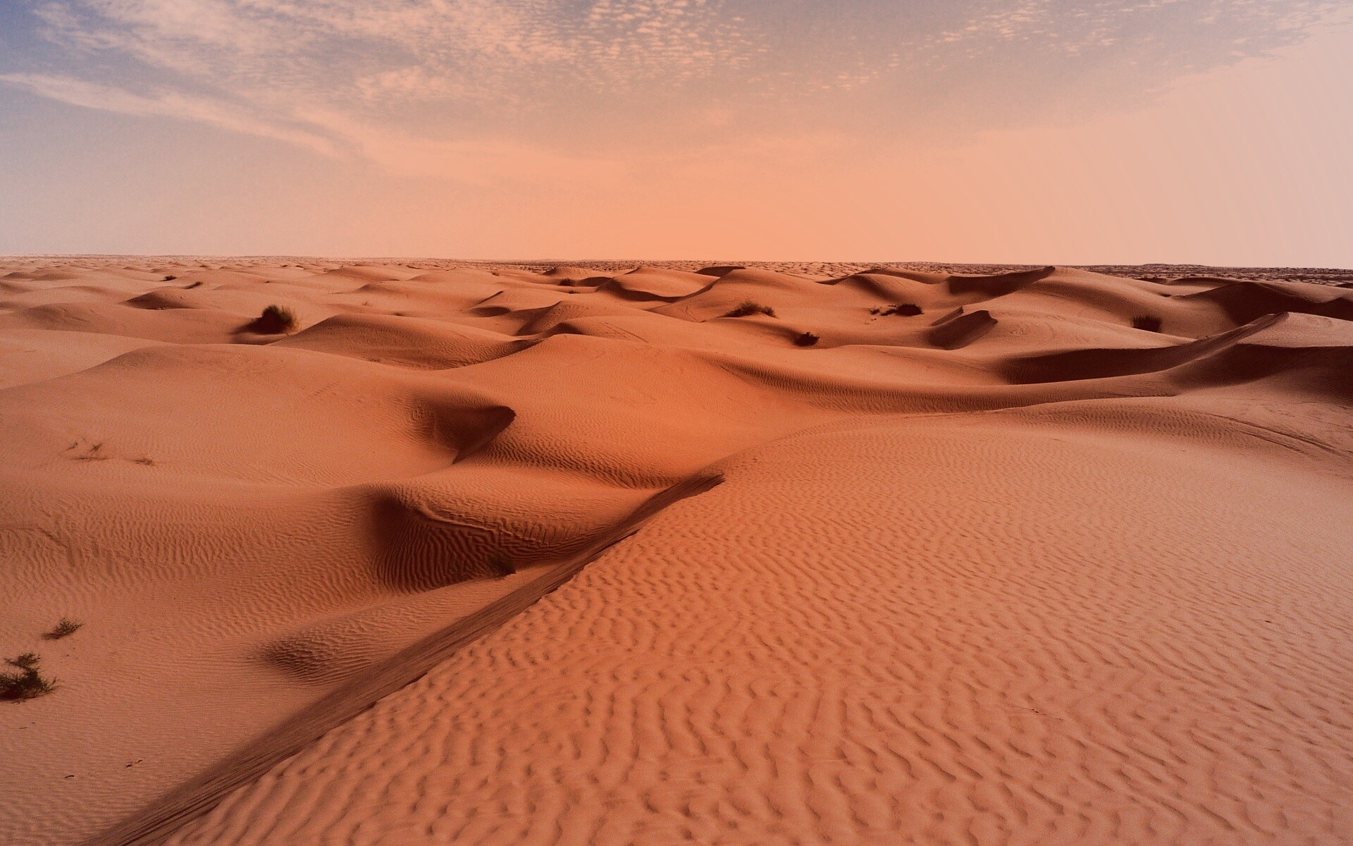 Пустыня до самого горизонта обои