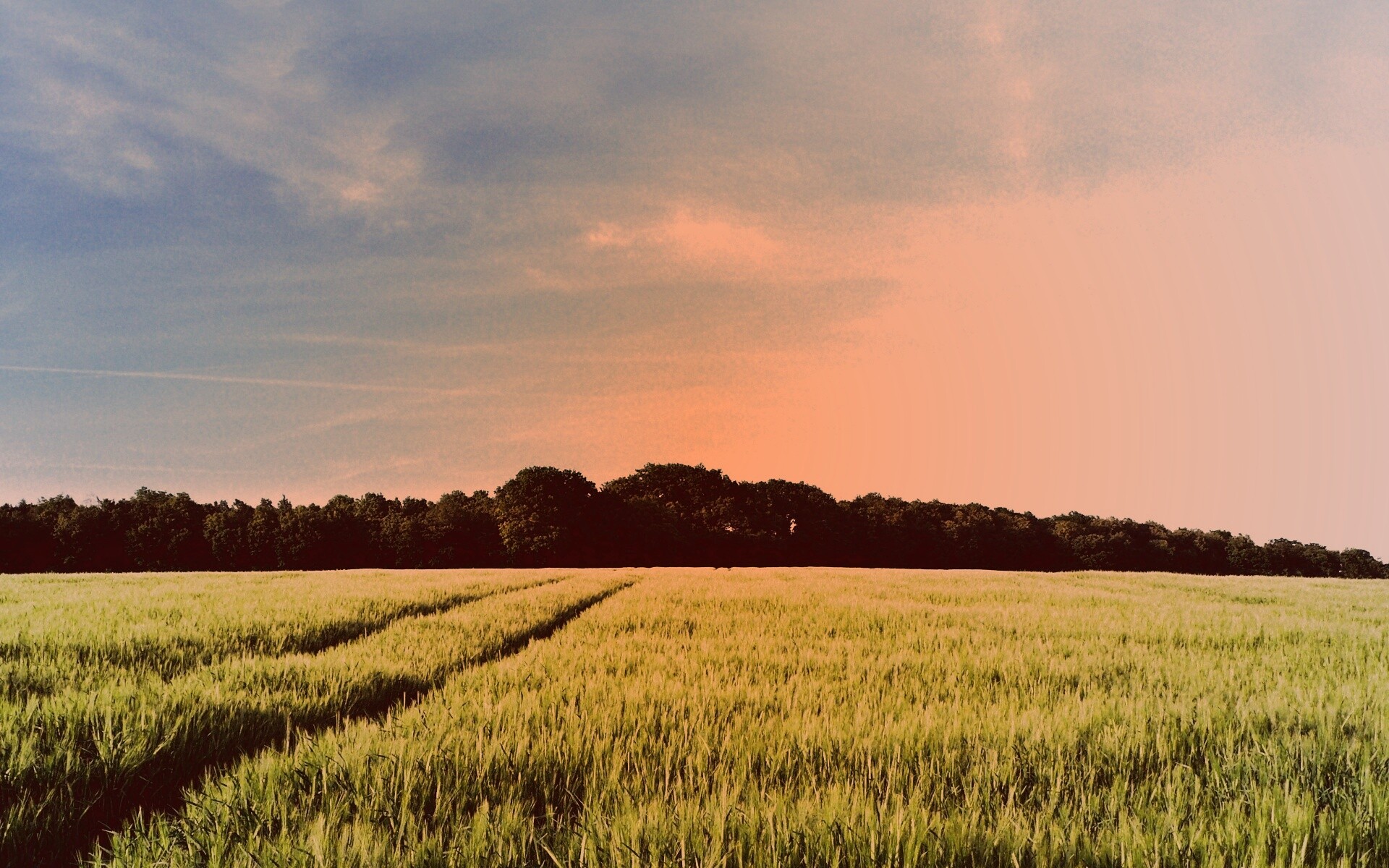 Следы колеи в поле обои