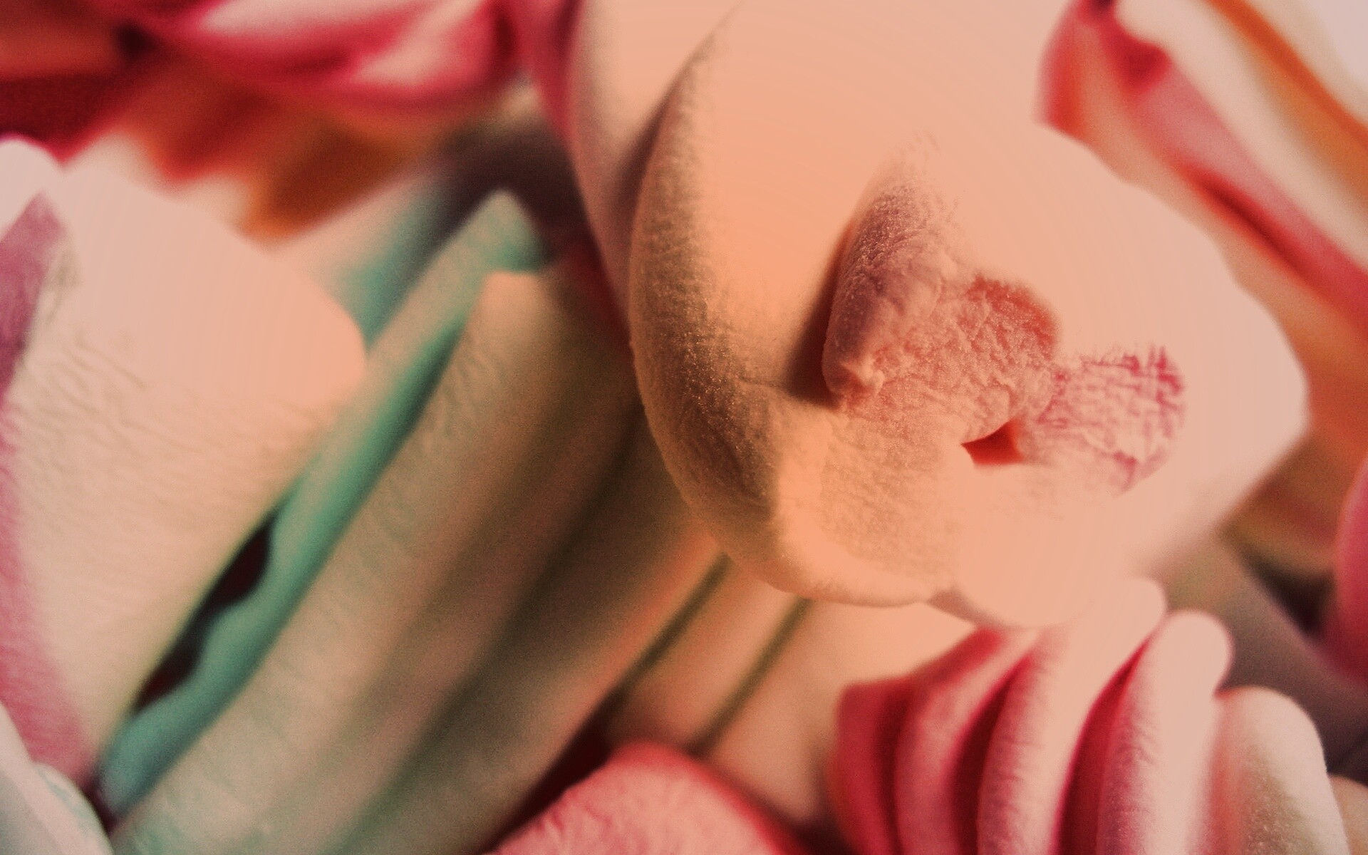 Кручёный зефир обои