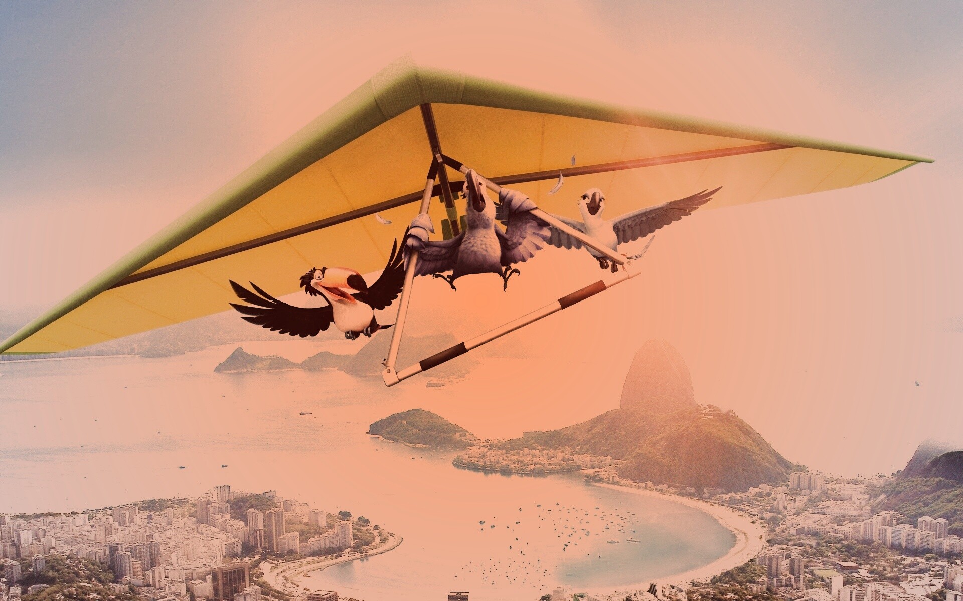 Герои мультфильма Рио обои