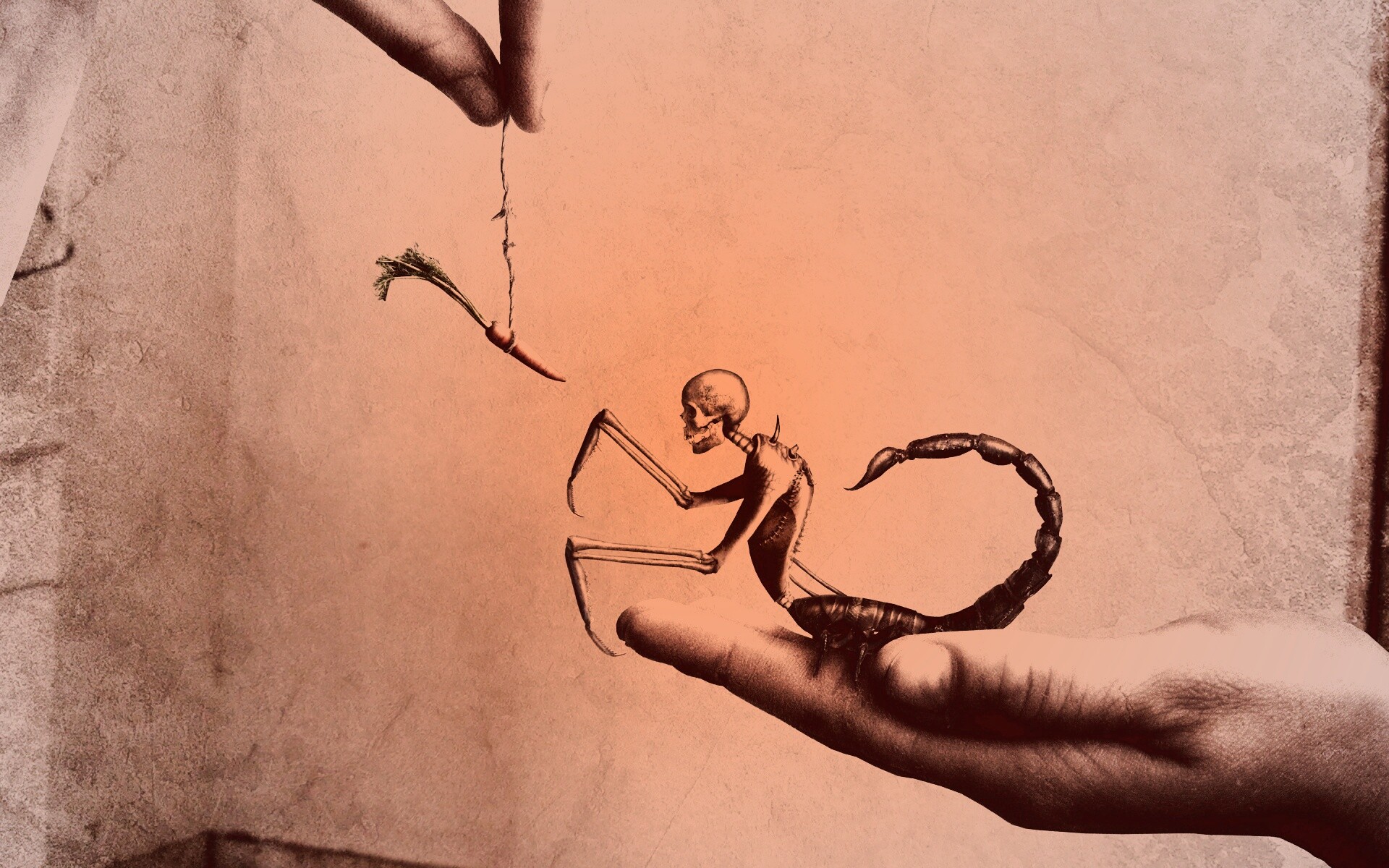 Кормёжка смерти обои