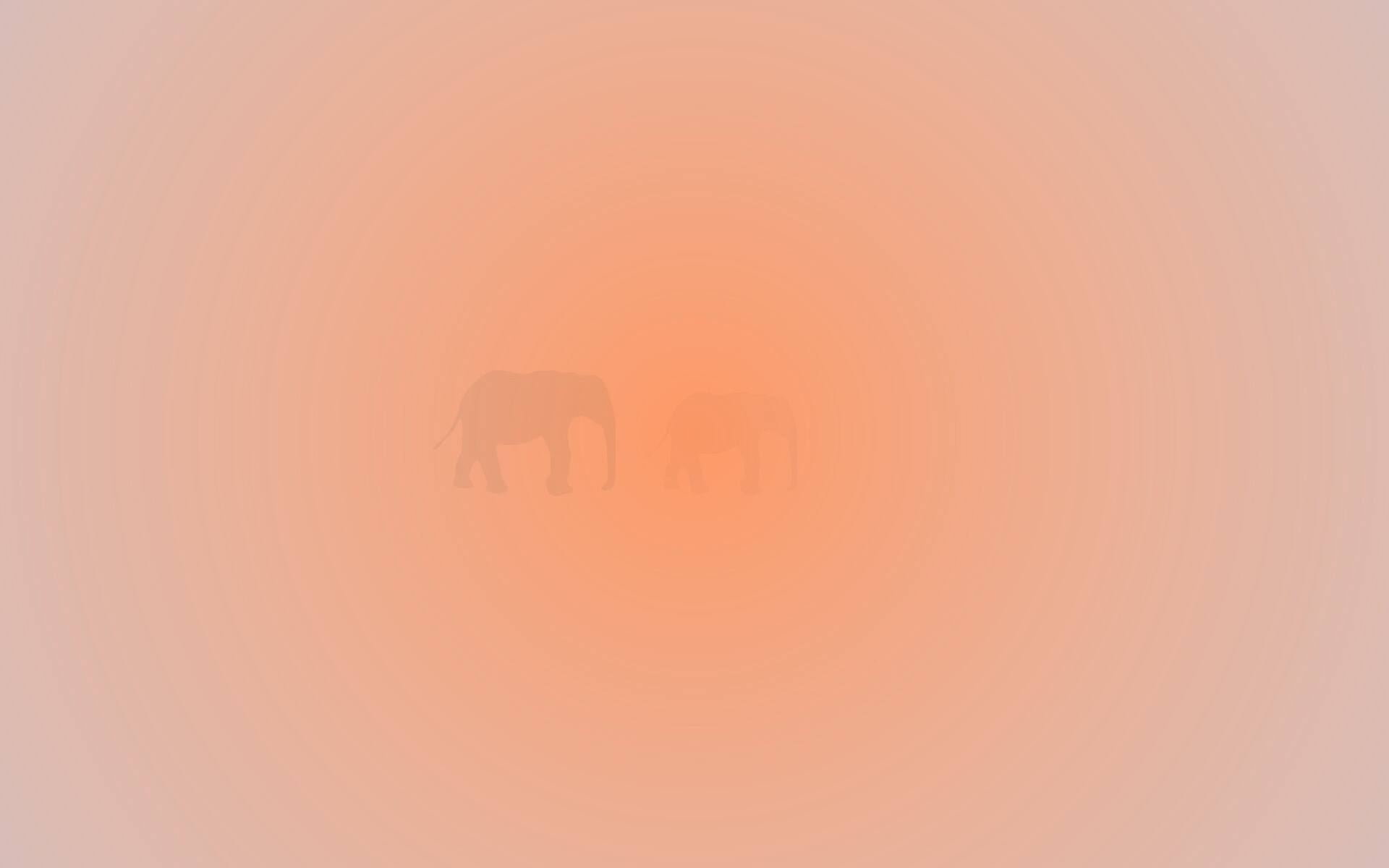 Вереница слонов обои