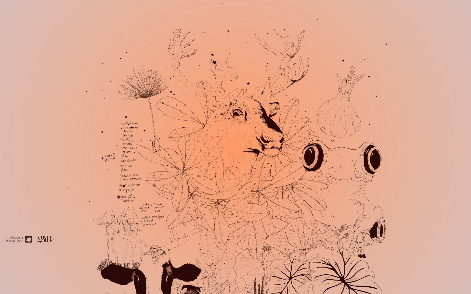 Животные на рабочий стол Apple обои