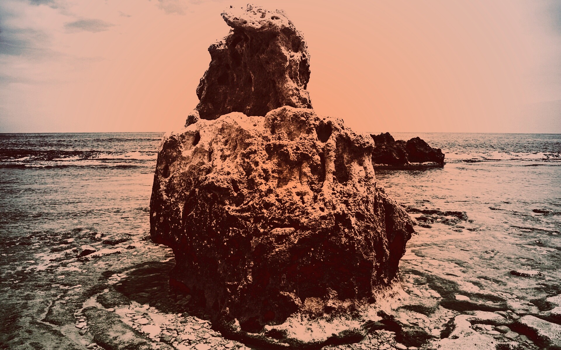 Коралловый риф обои