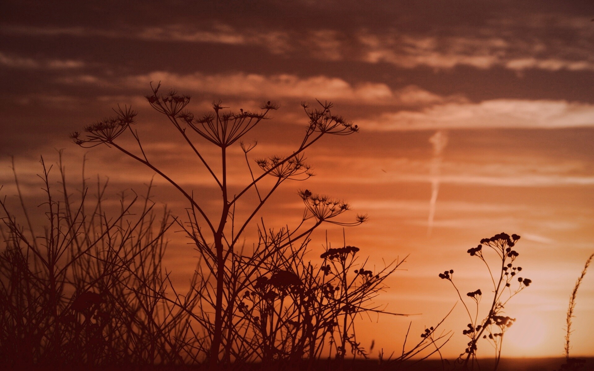 Степной закат обои