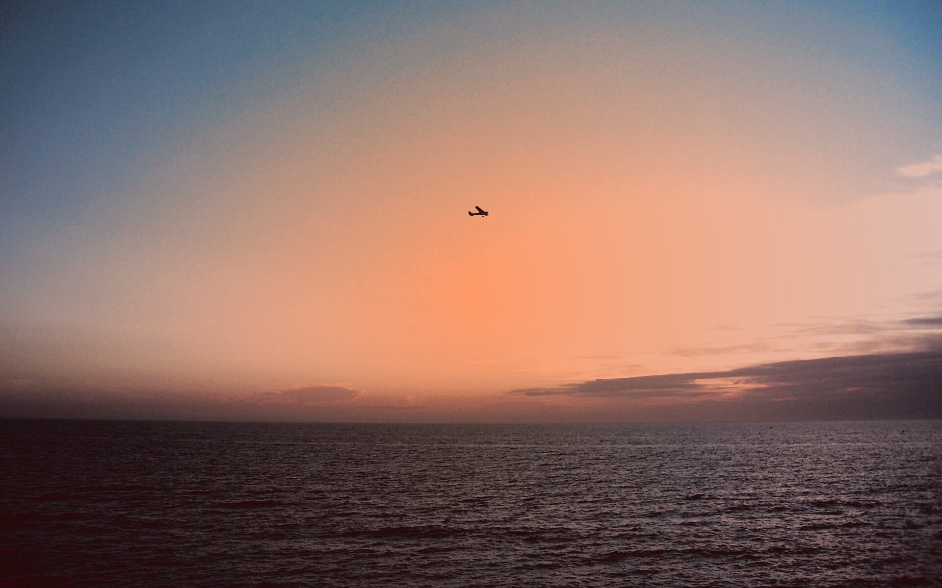 Паращий над морем обои