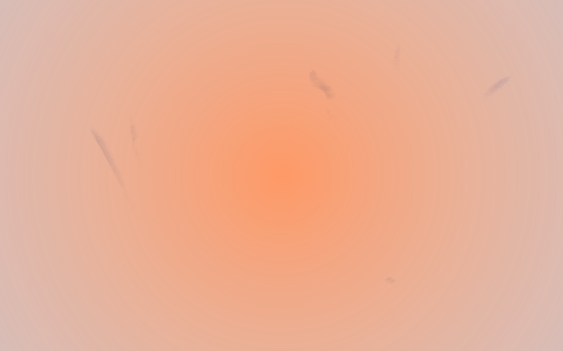 Белые лепестки обои