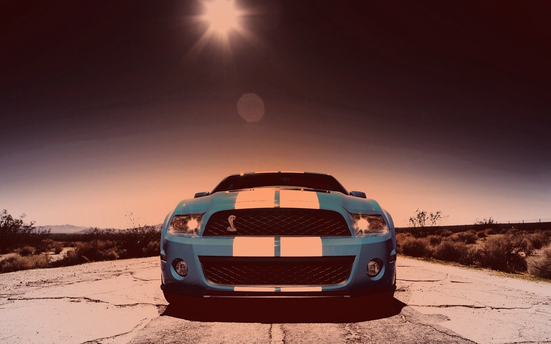Форд Шелби обои