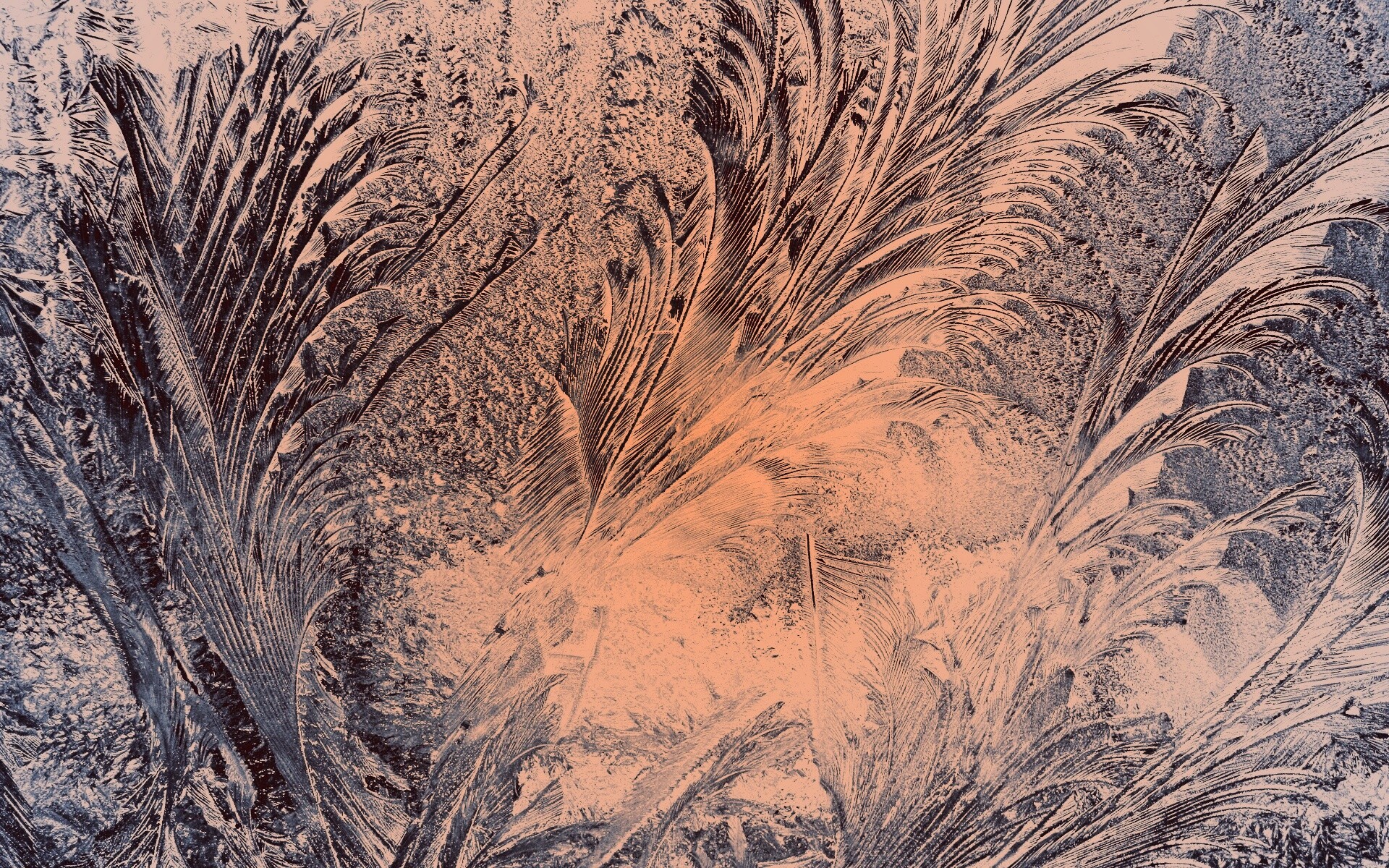 Зимние узоры обои