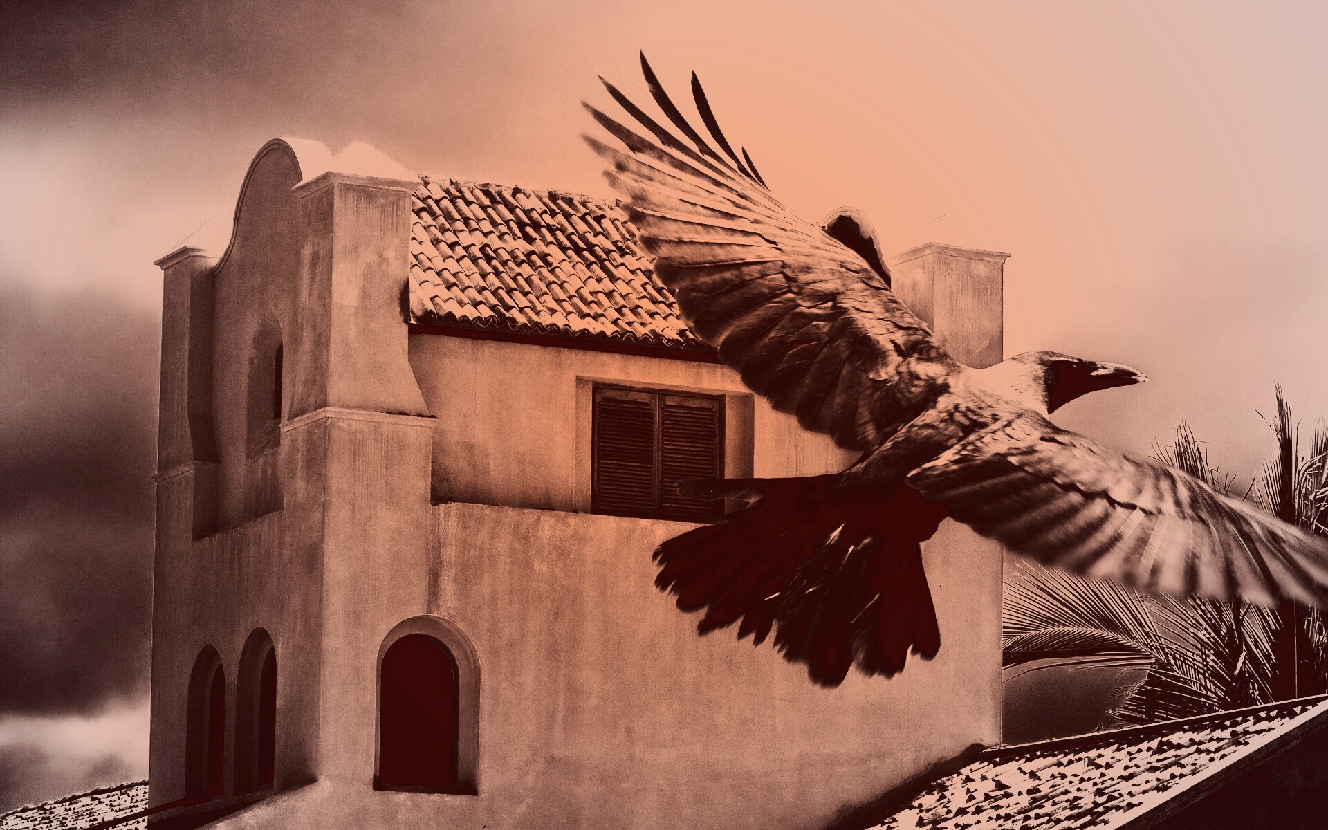 Полёт ворона обои