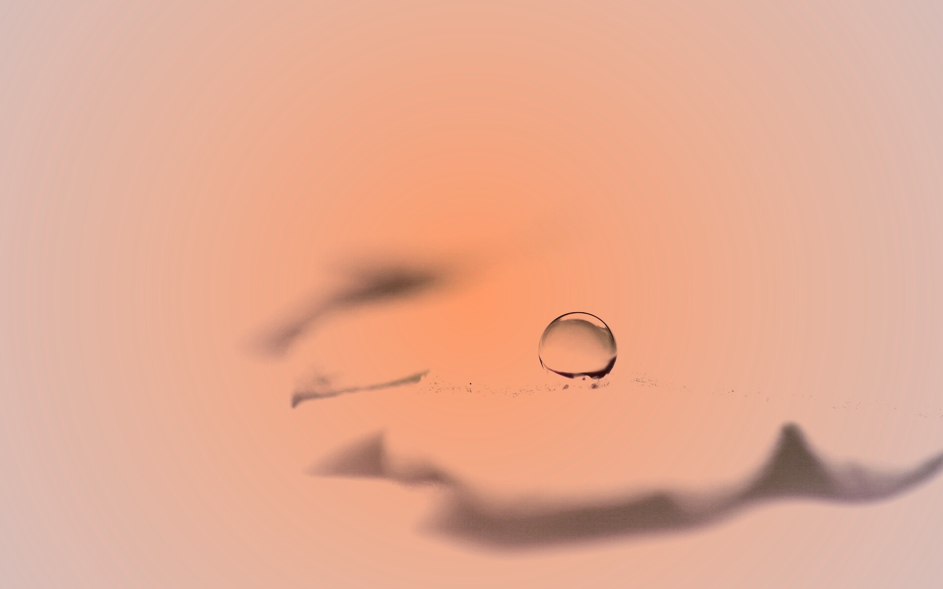 Капля на замёрзжем листе обои