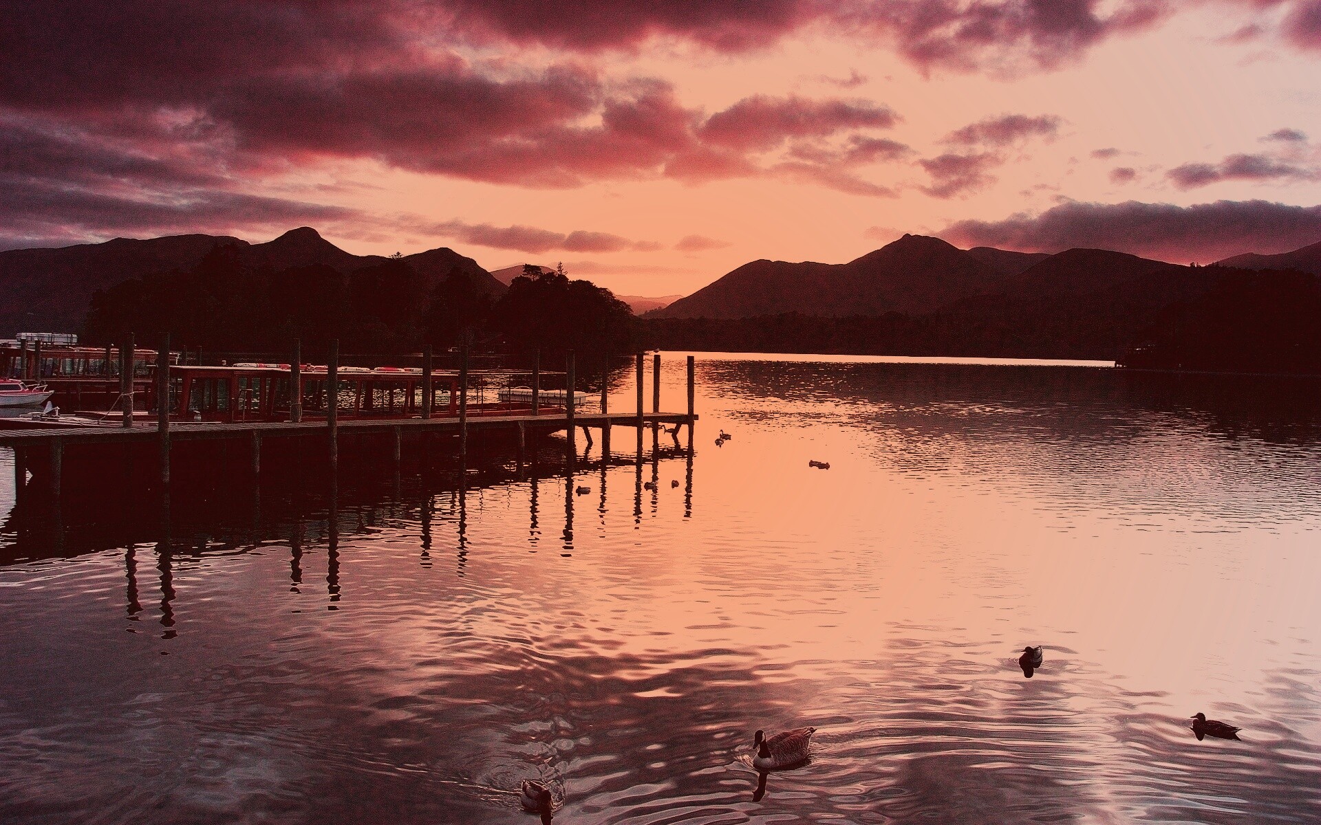 Причал на озере и утки обои