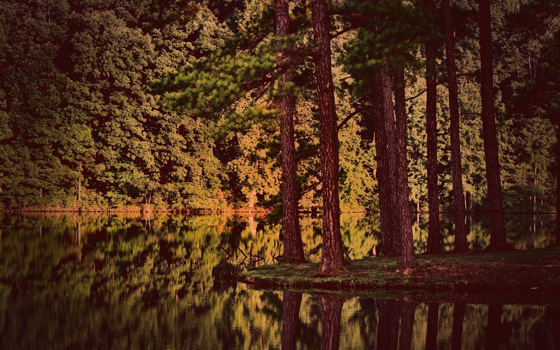 Островок посреди озера обои