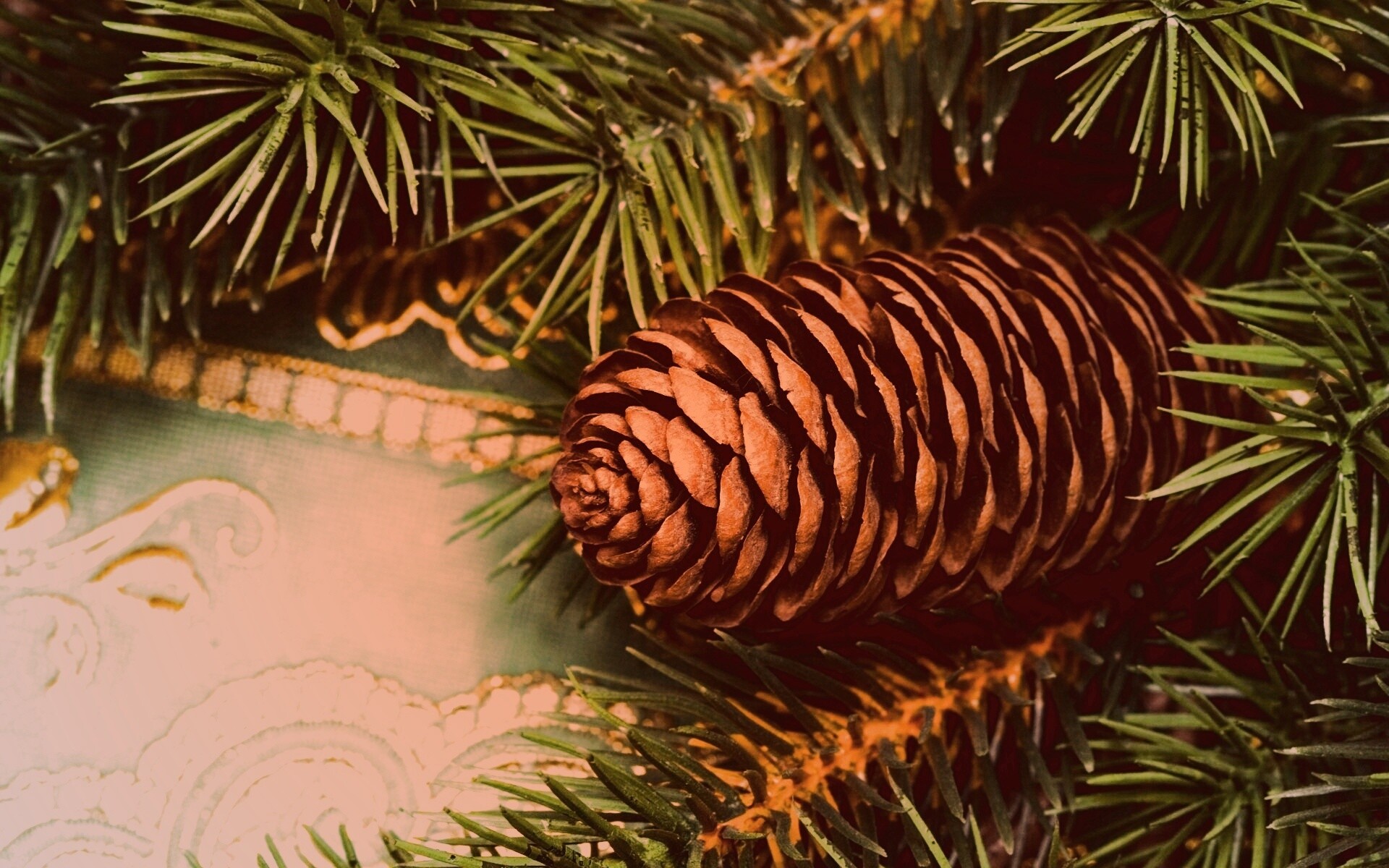 Шишка на елке обои