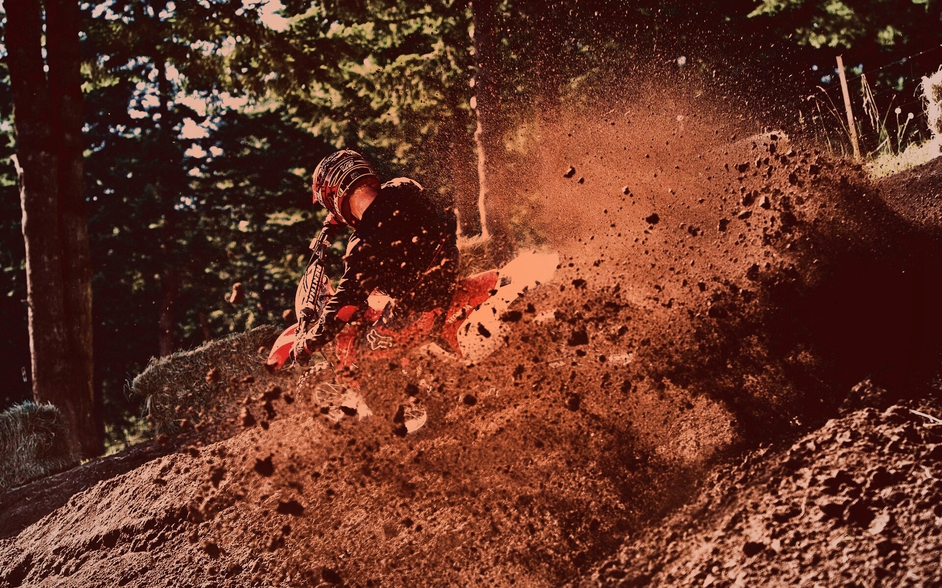 Моторалли обои