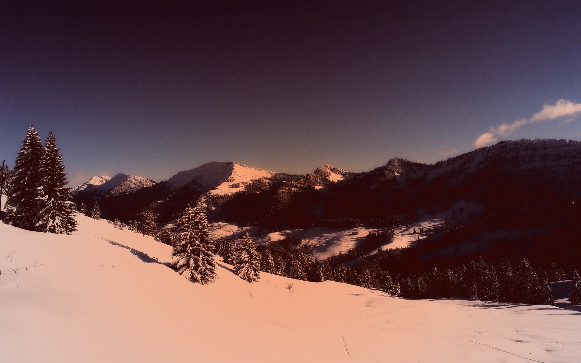 Лес в горах обои