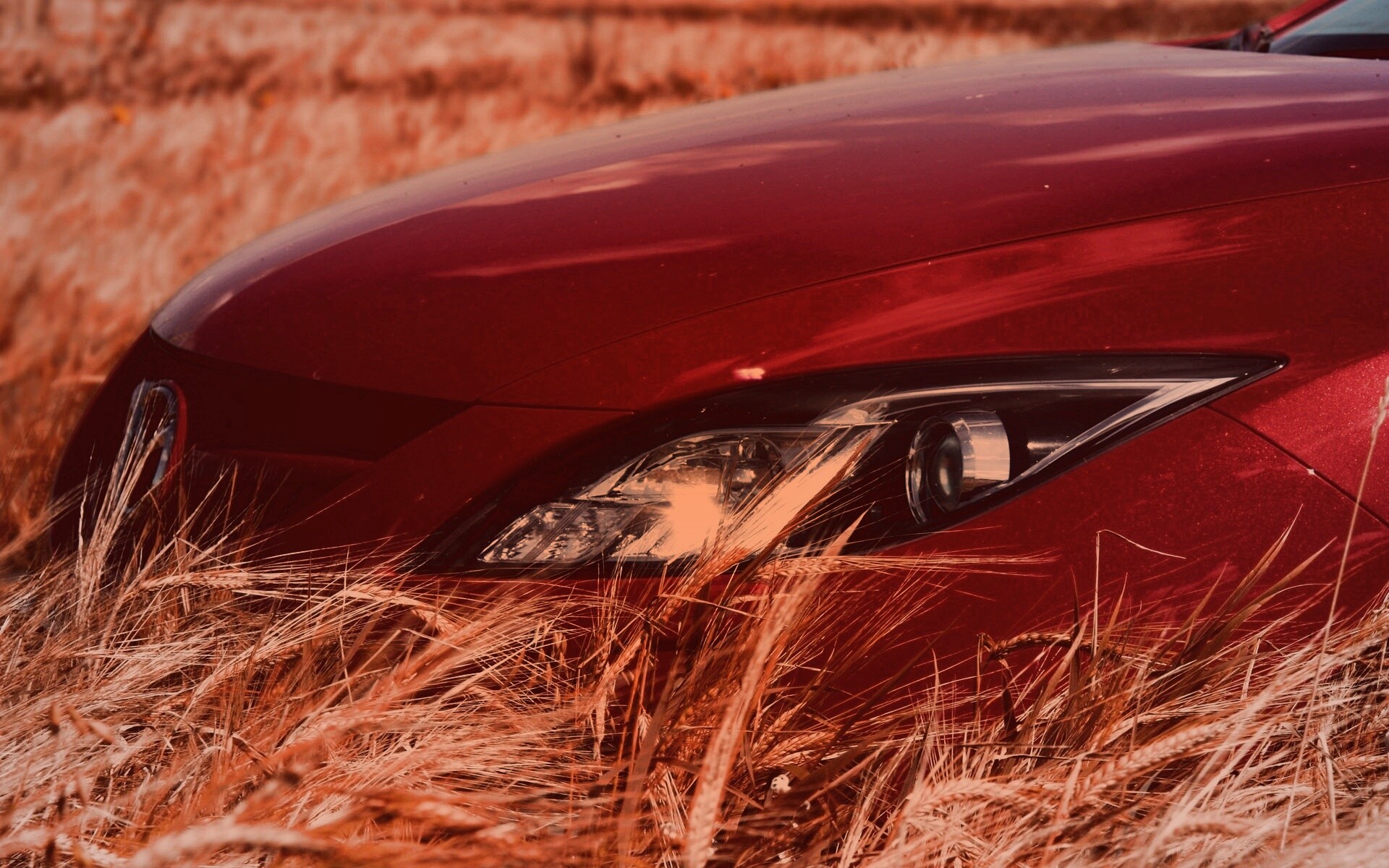 Мазда в пшенице обои