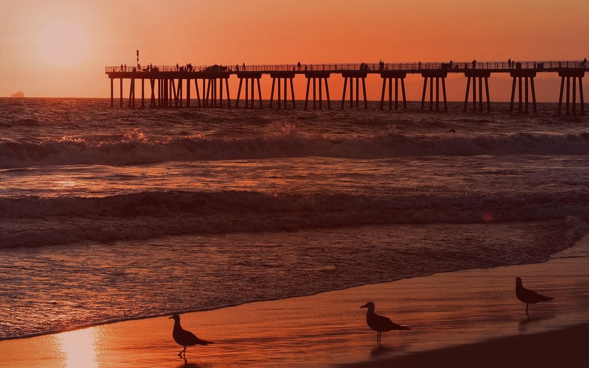 Морская терасса обои