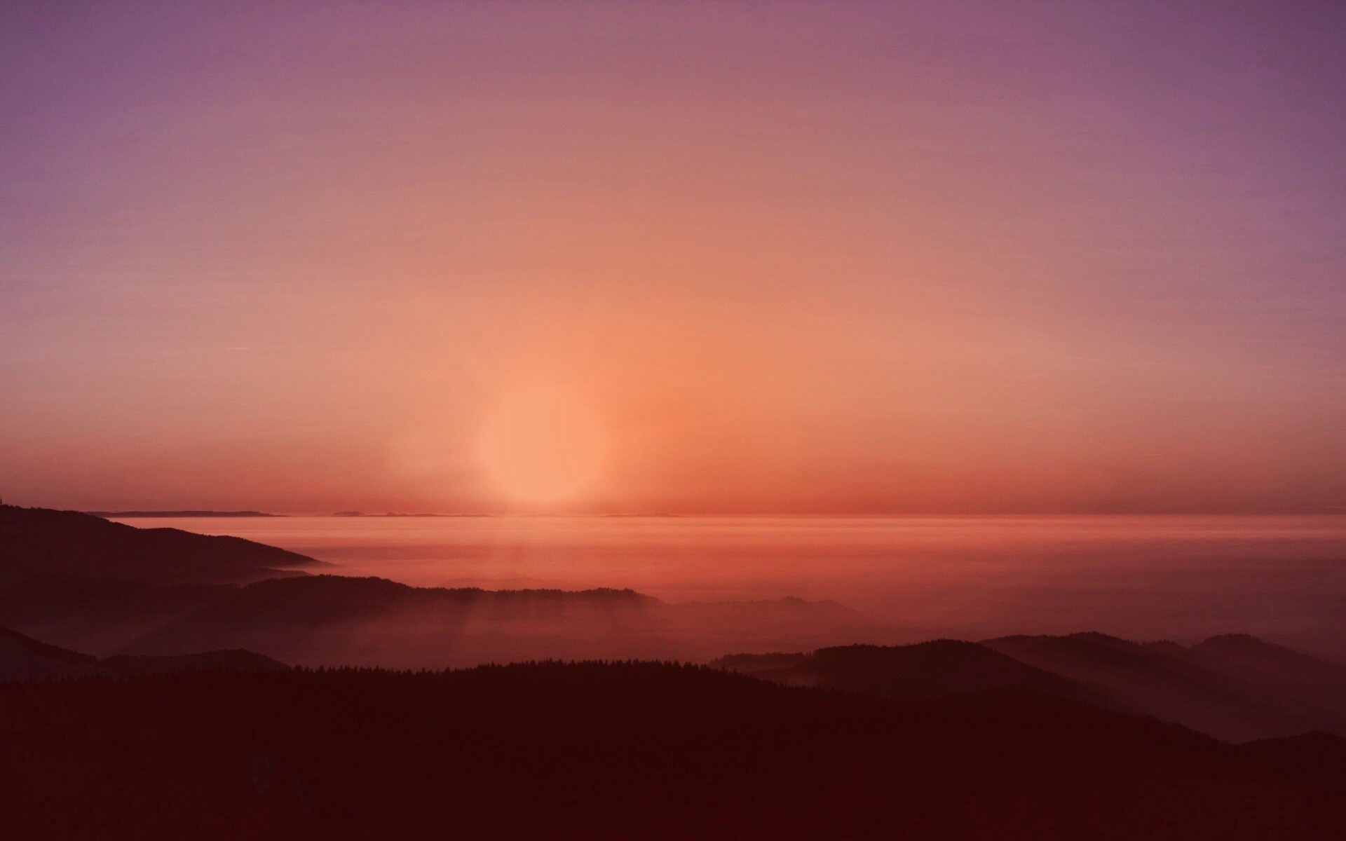 Восход солнца над лесом обои