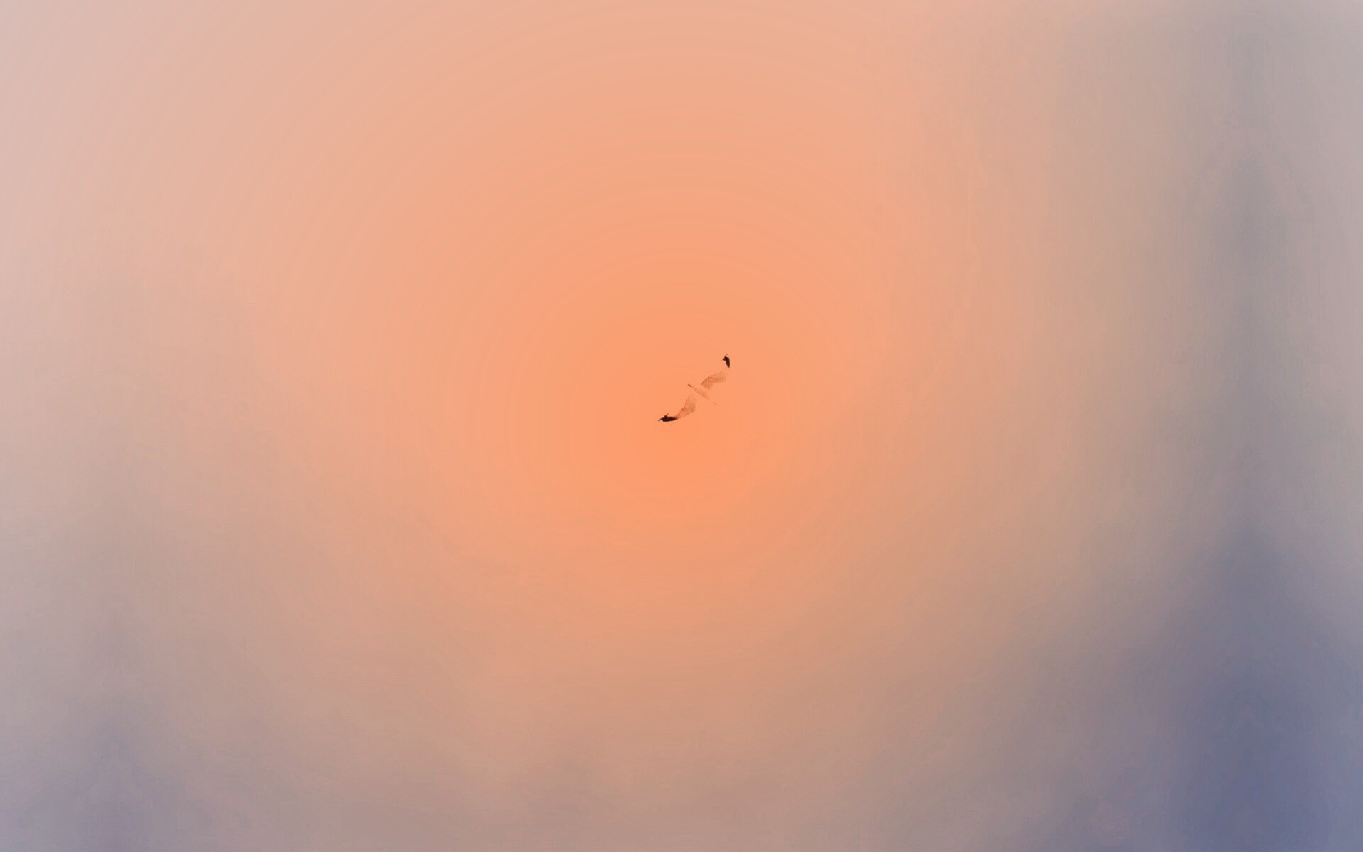 Полет  обои