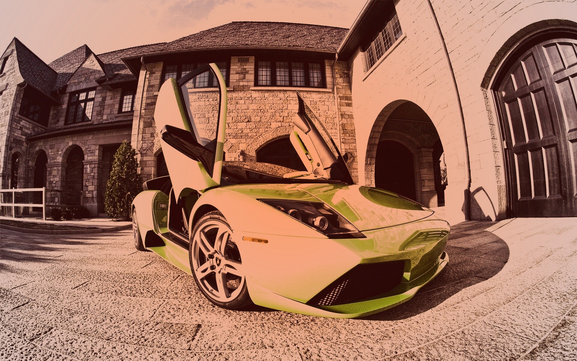 Зеленая ламба обои