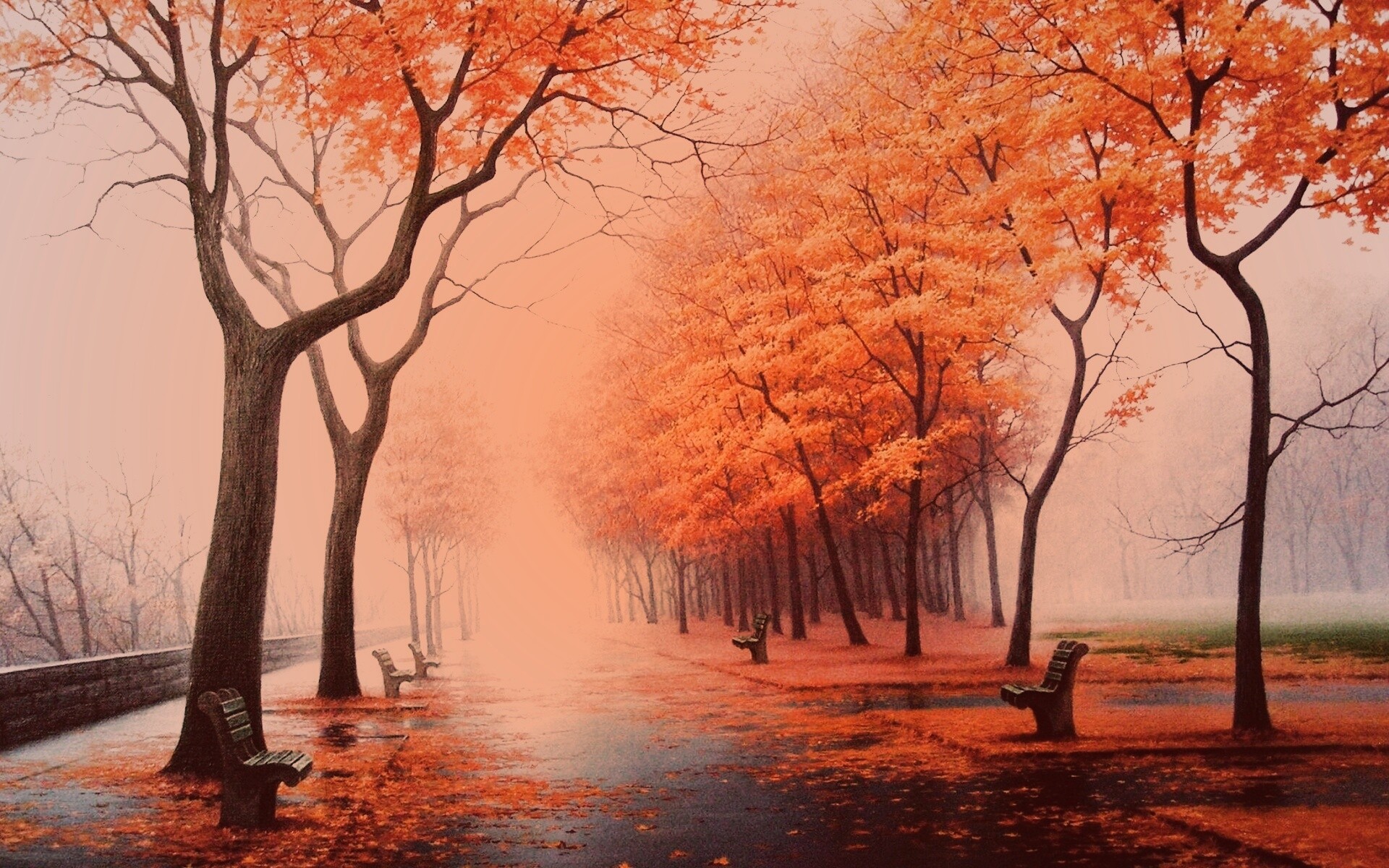 Дорога в осень обои