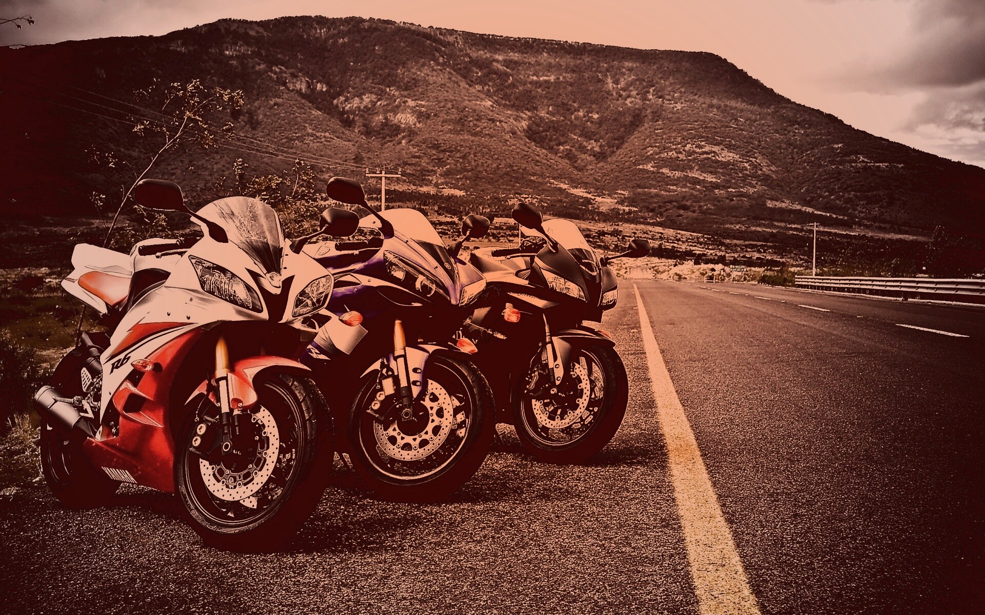Раллийные мотоциклы на дороге обои