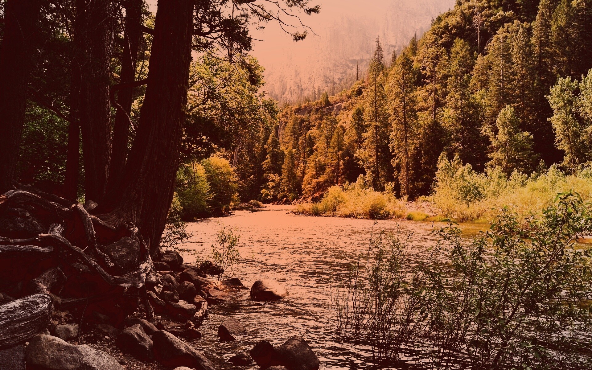 Национальный заповедник обои