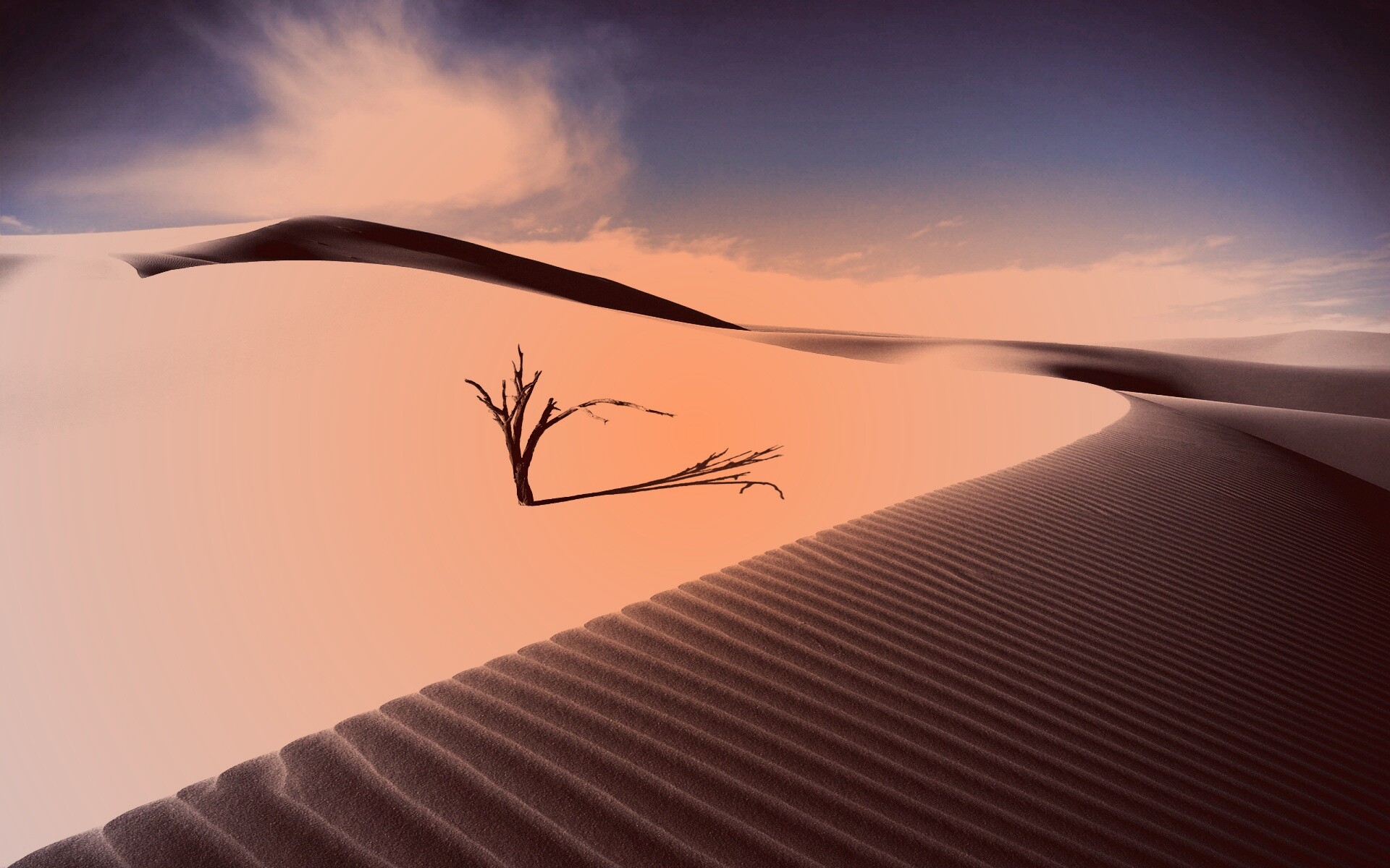 Дюны белого песка обои