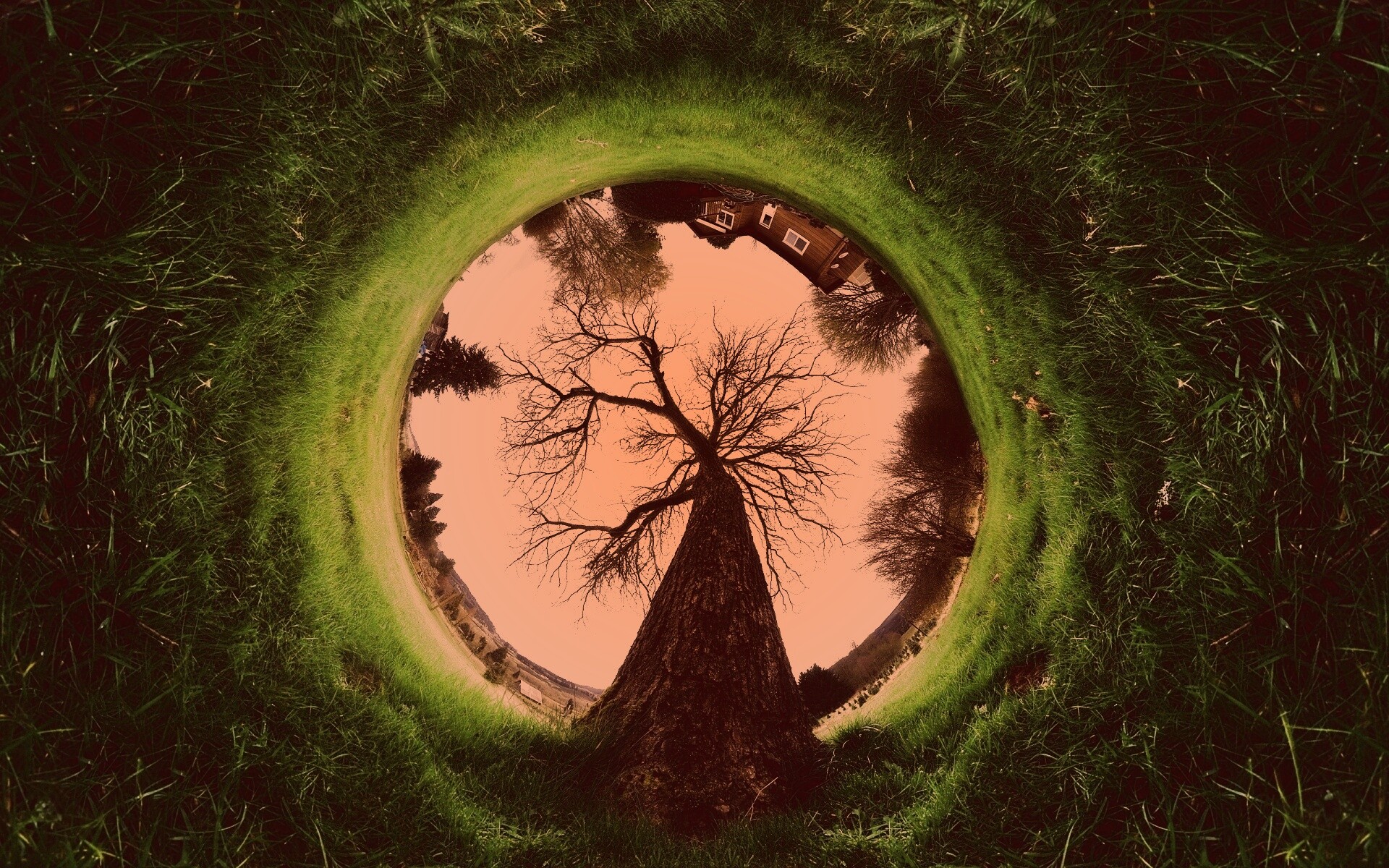 Другой взгляд на мир обои