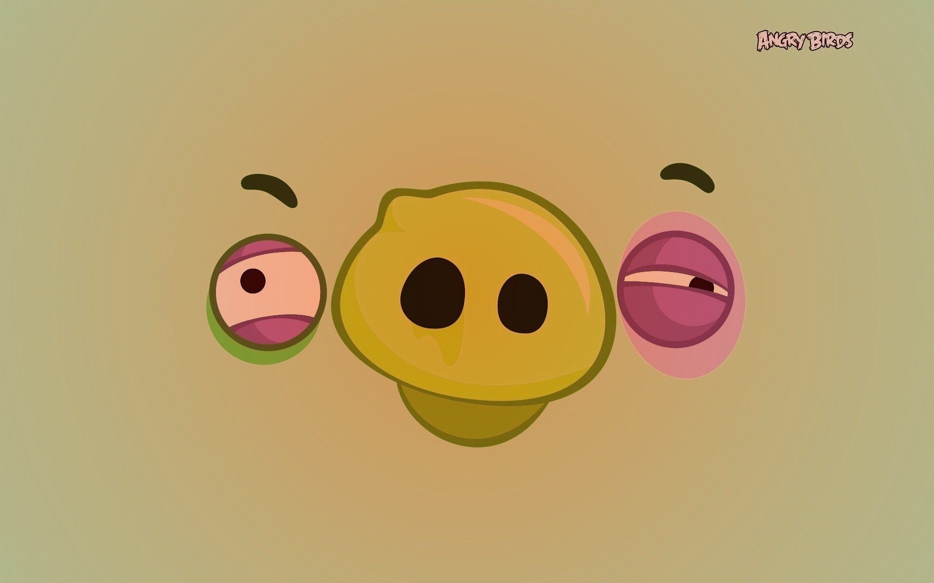 Свинья из Angry Birds обои