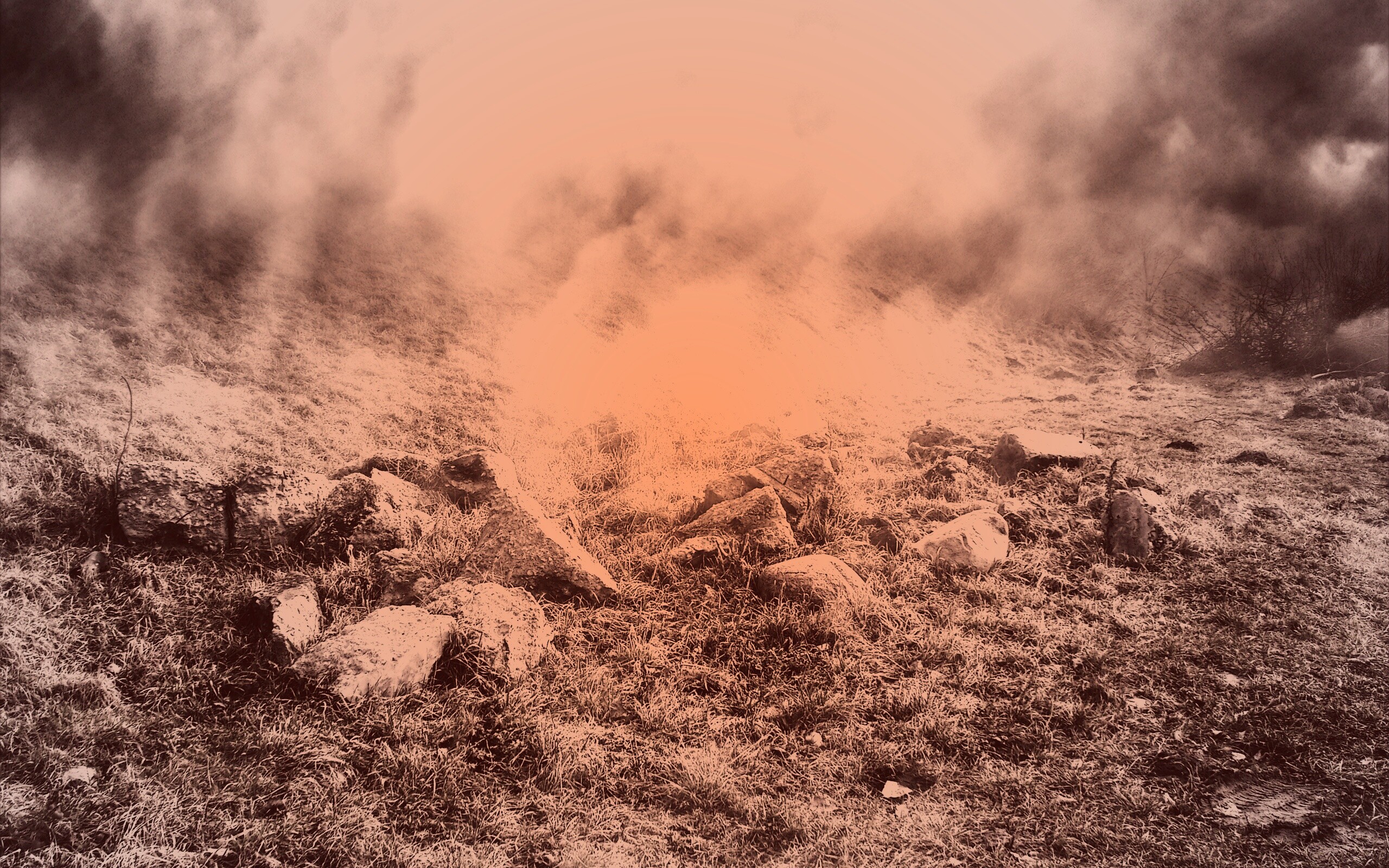 Туман на склоне обои