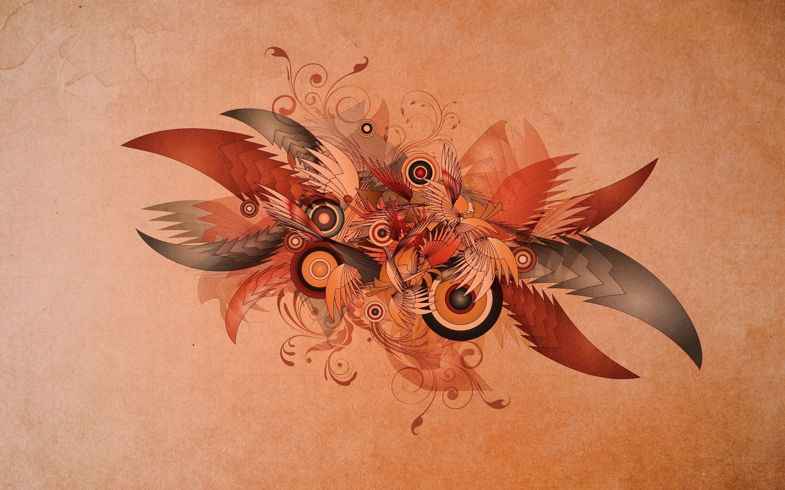 Перья и круги обои