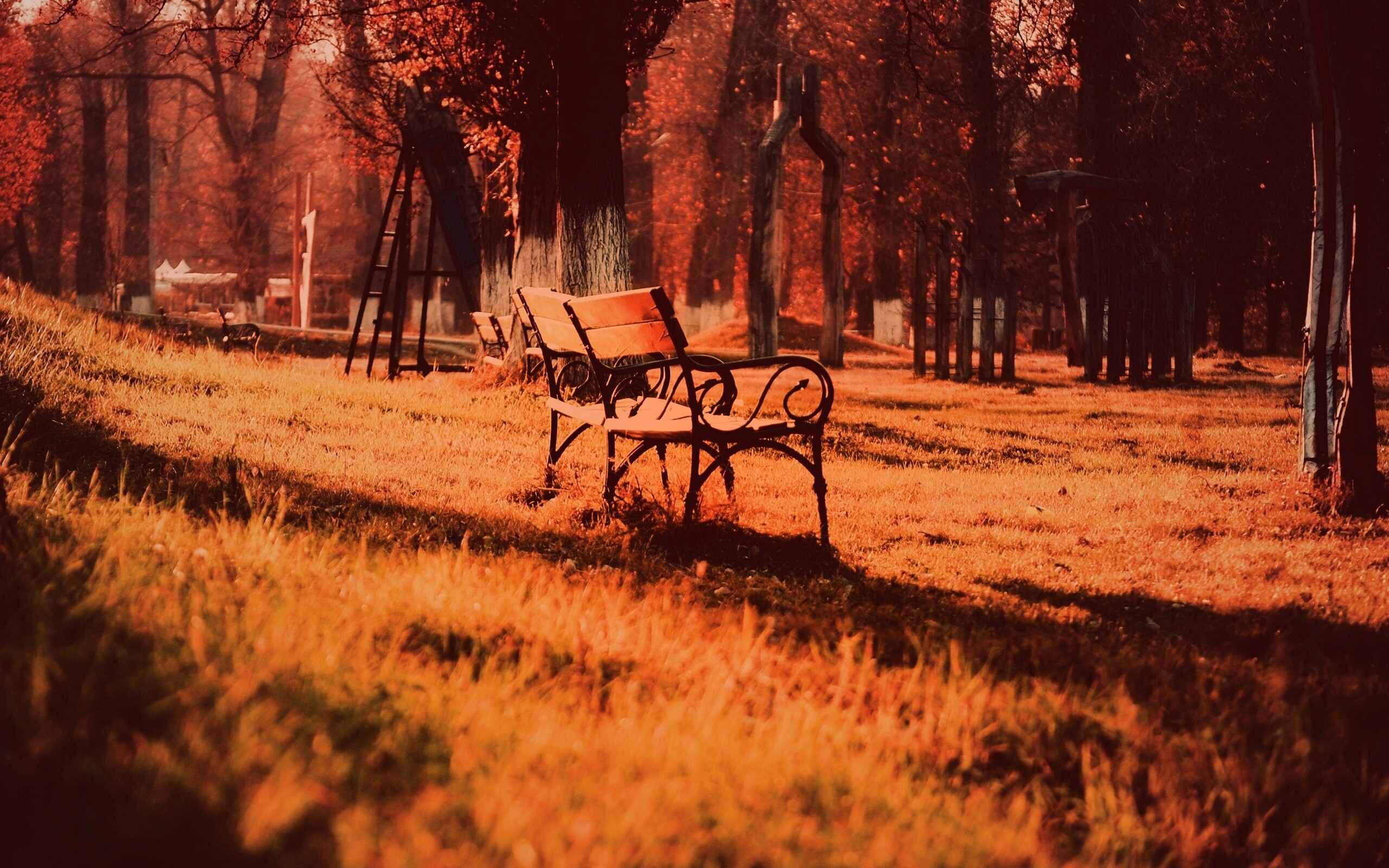 Скаймейка в осеннем парке обои