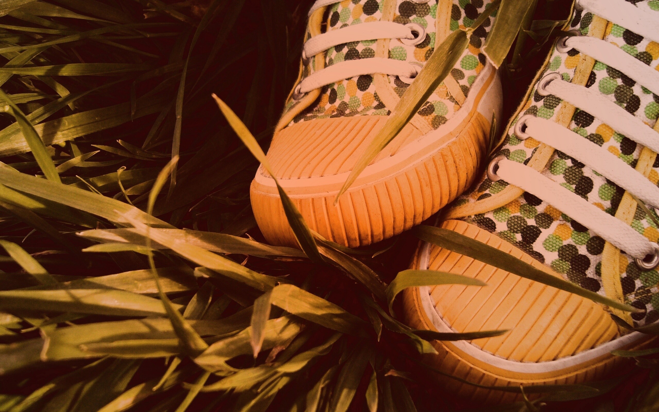 Желтые кеды в горошек обои