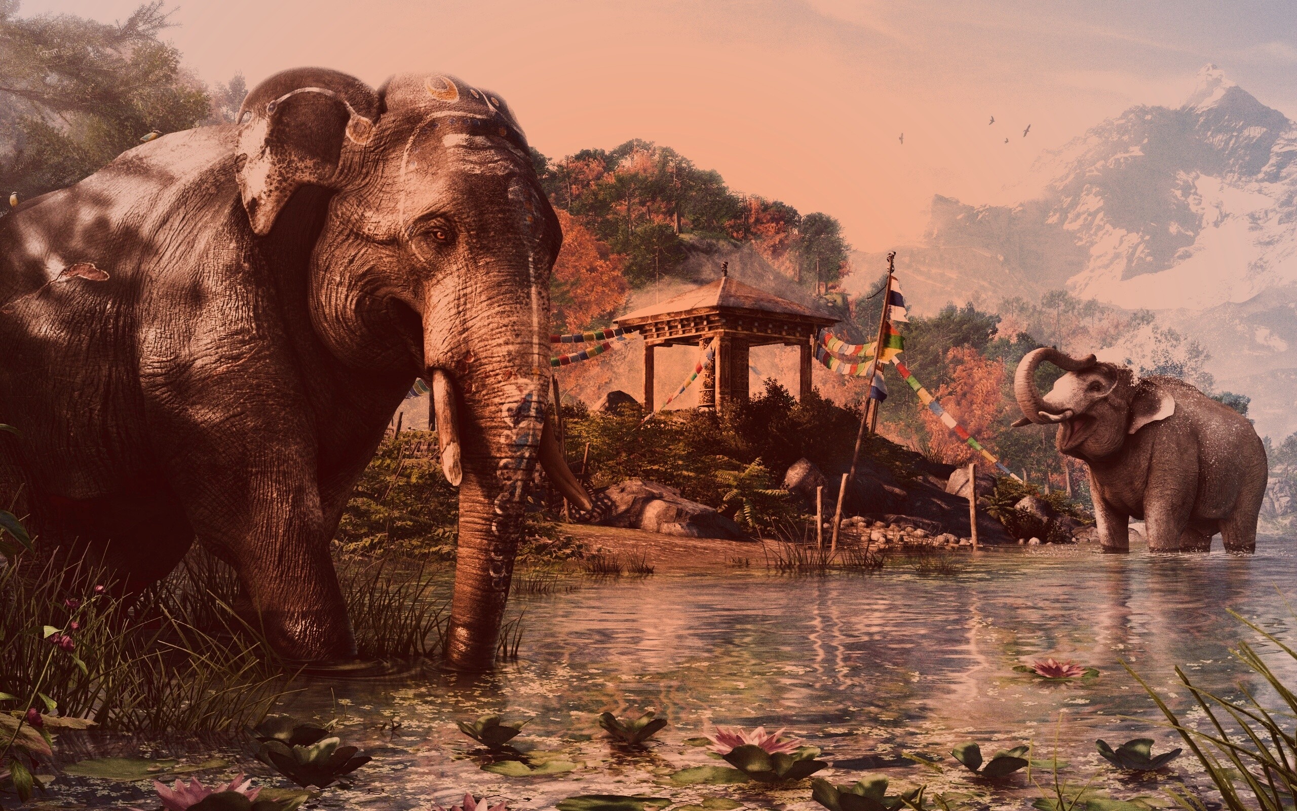 Слоники у воды обои