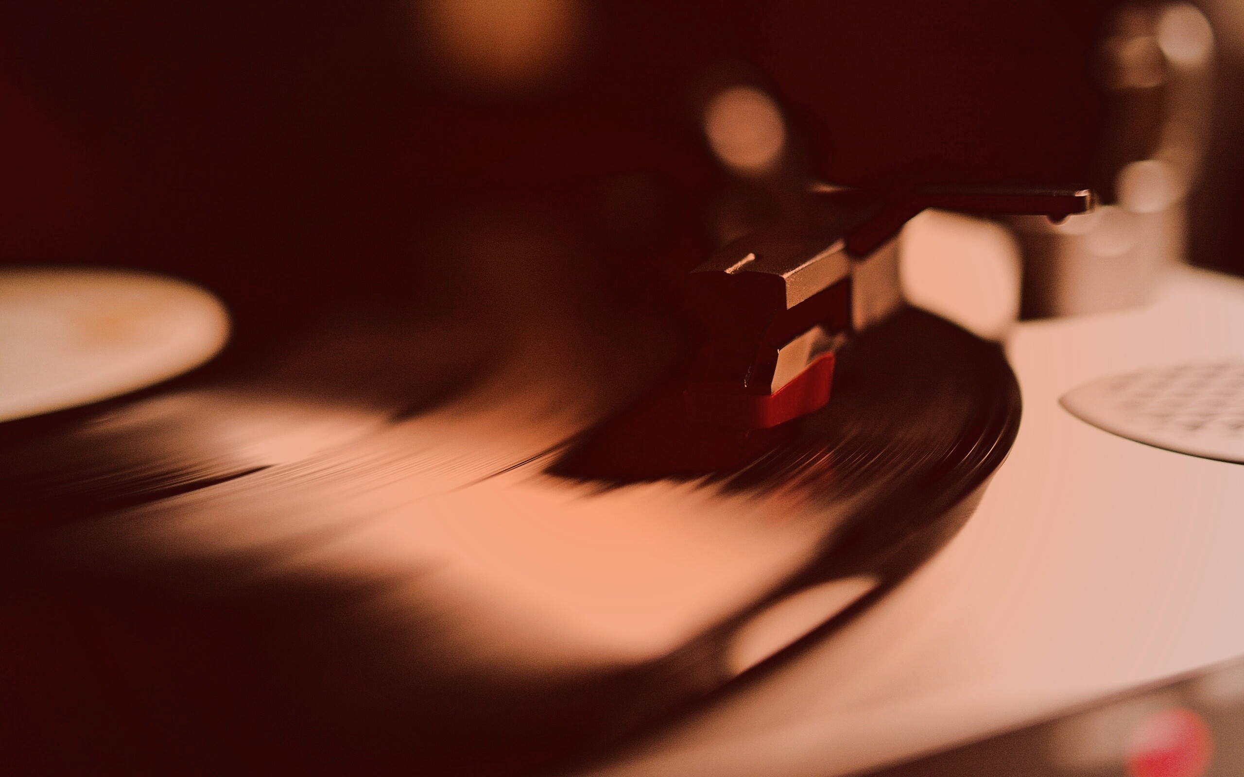 Пластинка обои