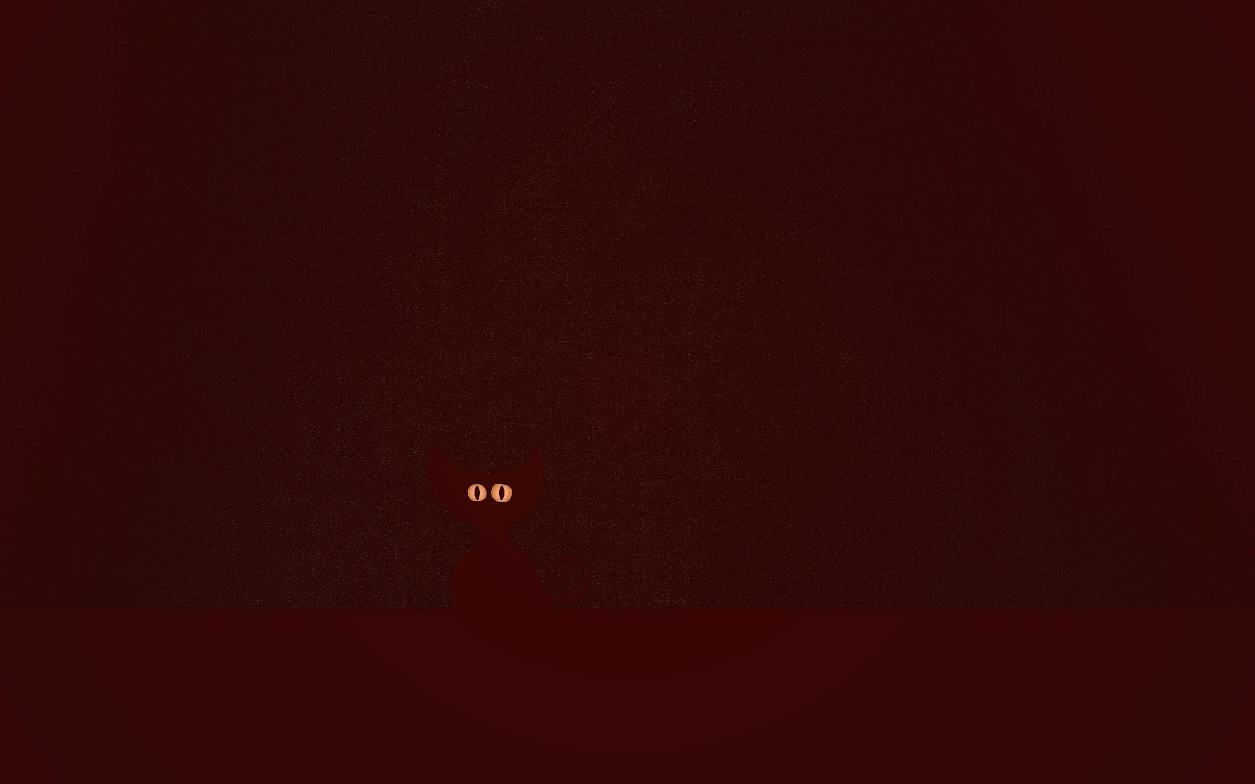 Чёрный кот в ночи обои