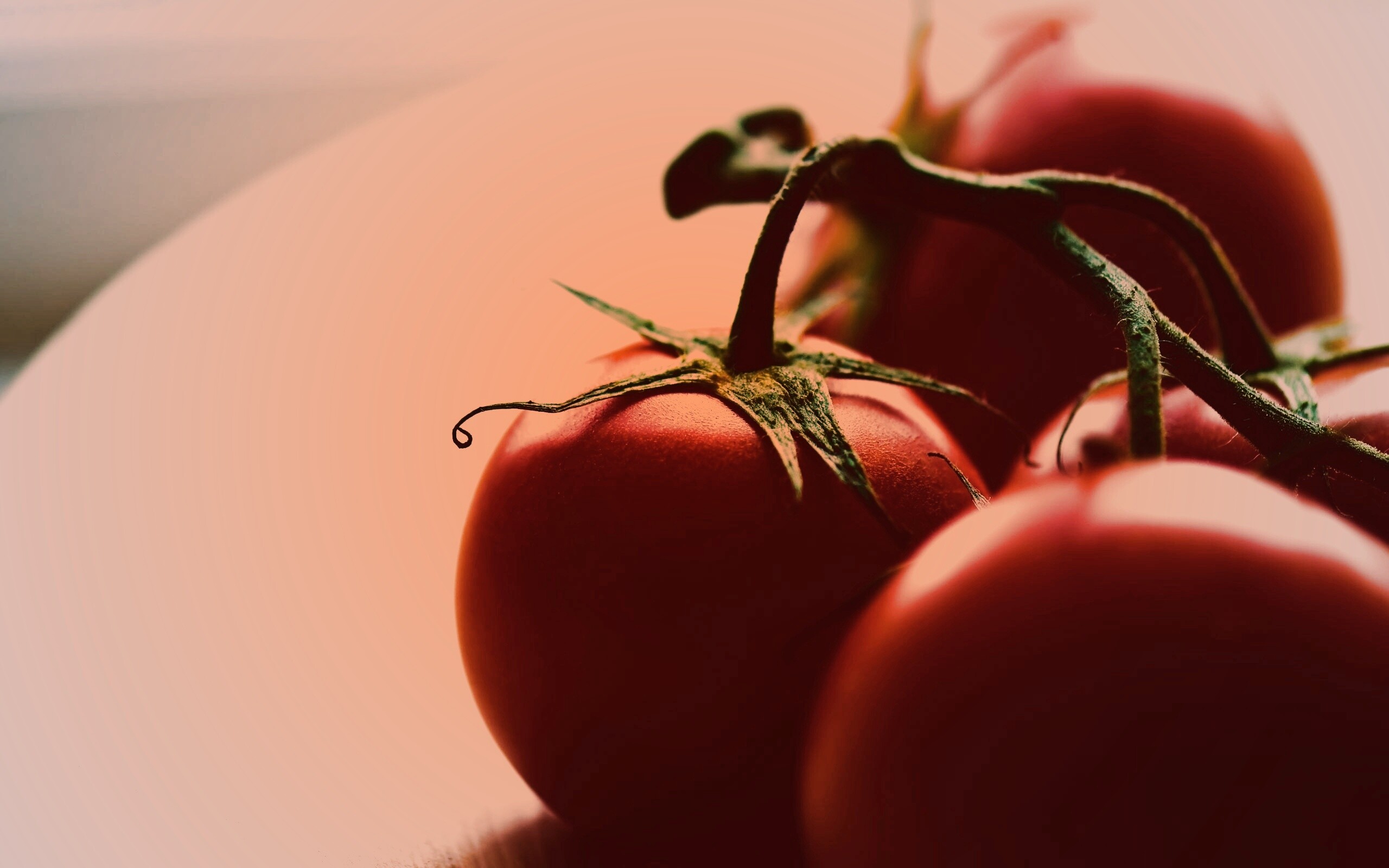 Аппетитные помидоры обои