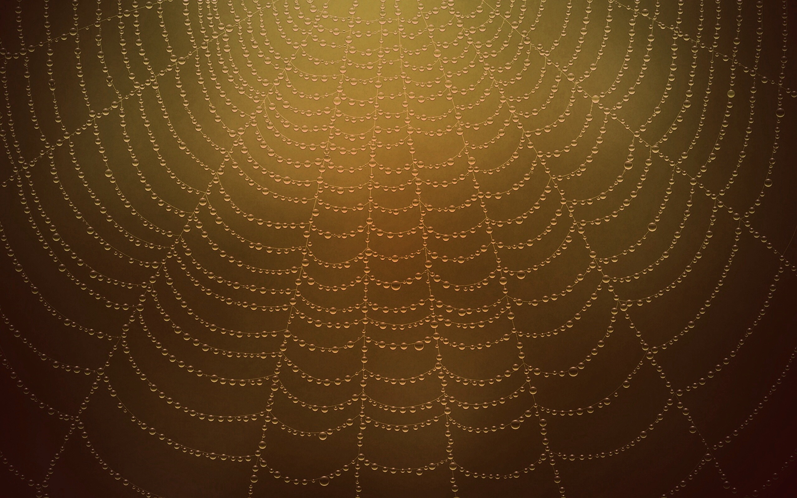 Роса на паутине обои