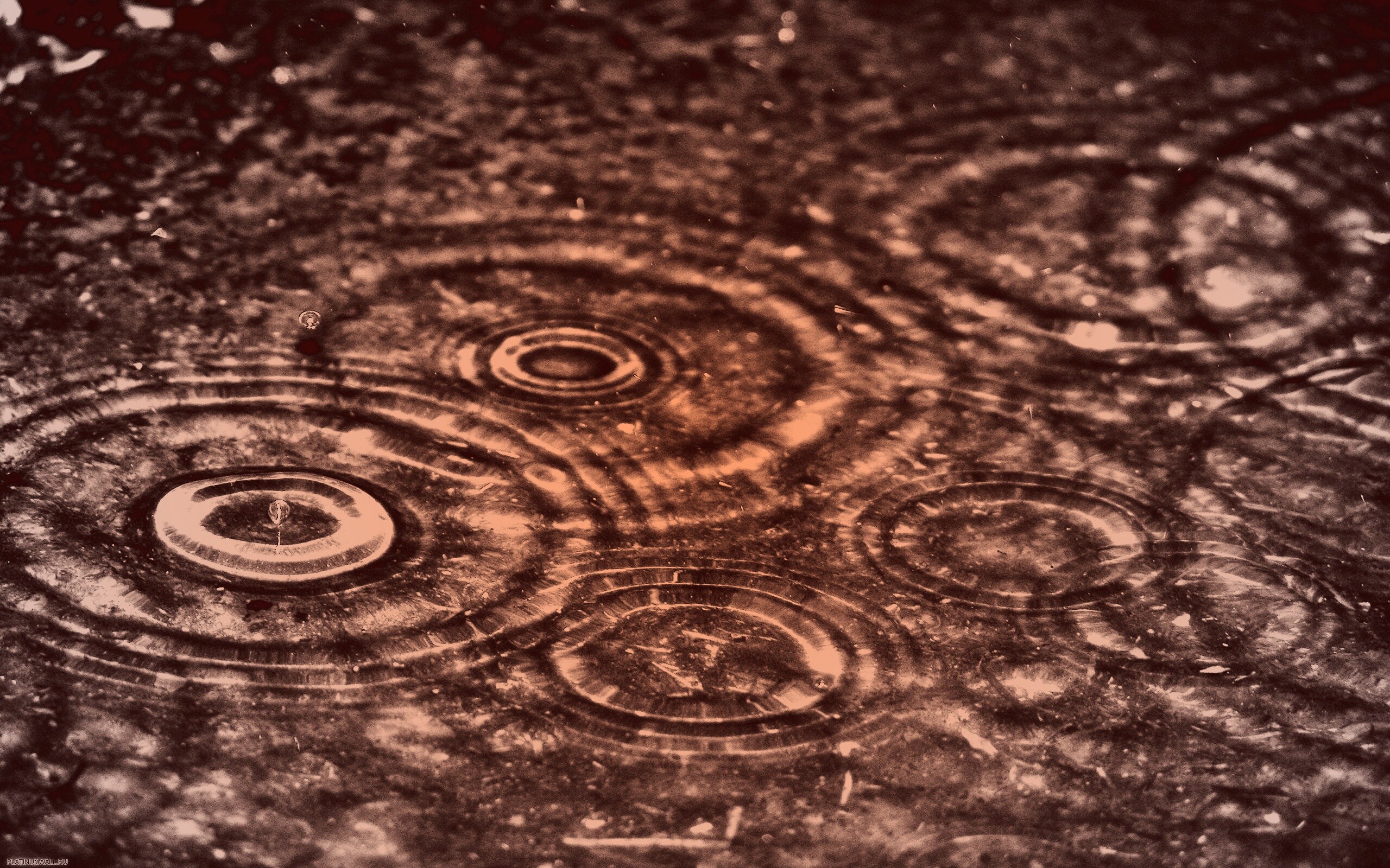 Круги на воде обои