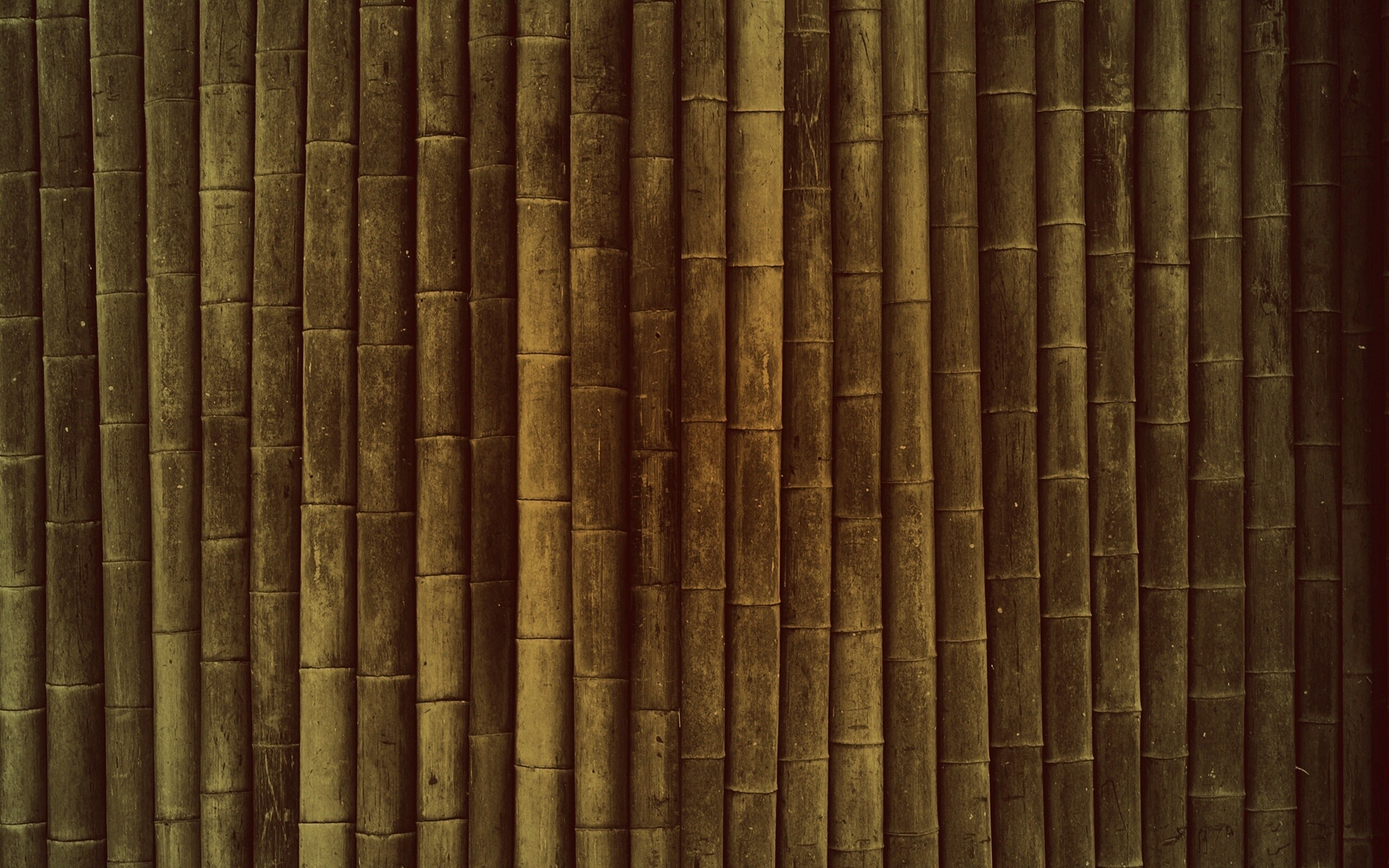Бамбук обои