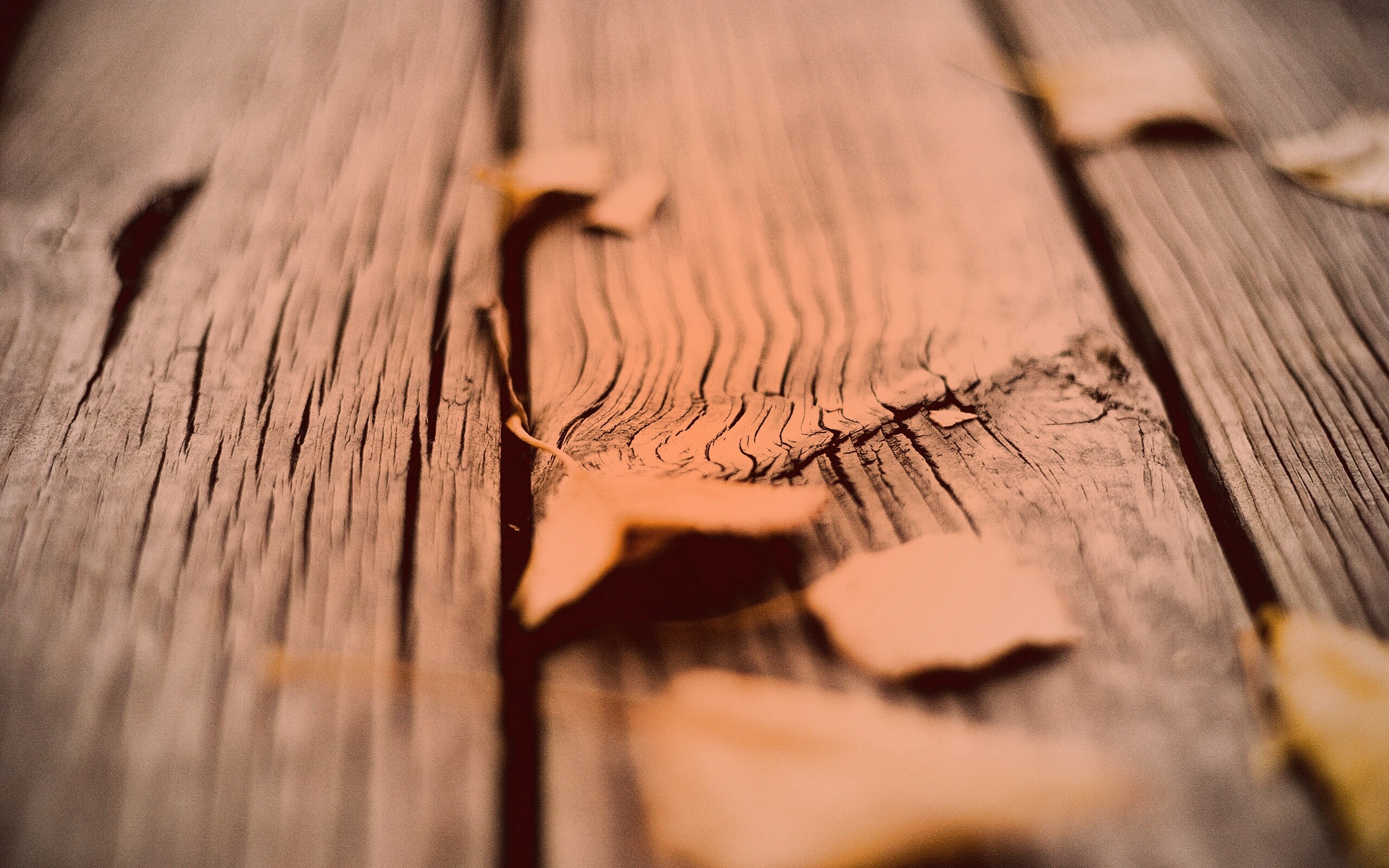 Листья на дощатом полу обои