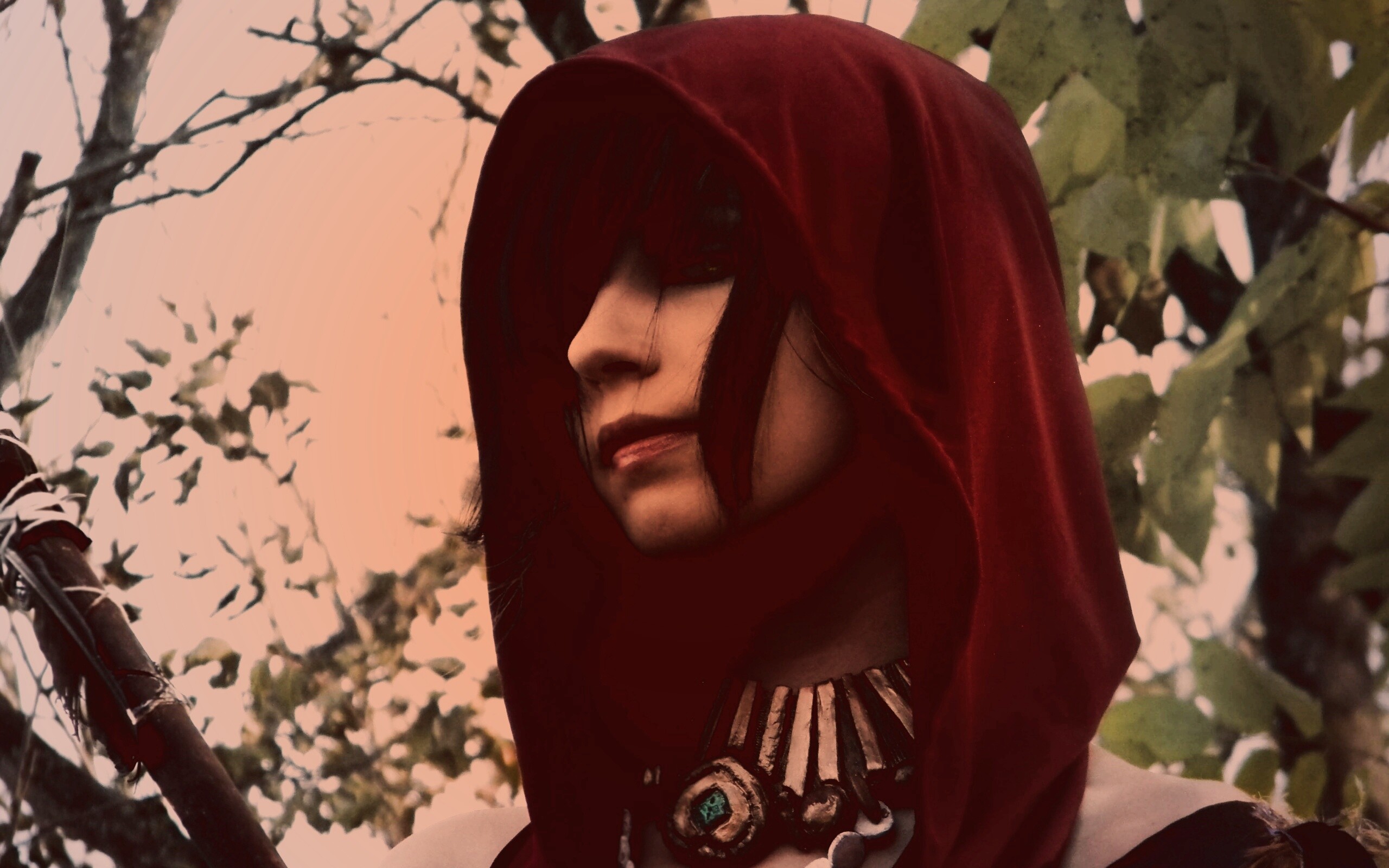 Косплей Морриган обои