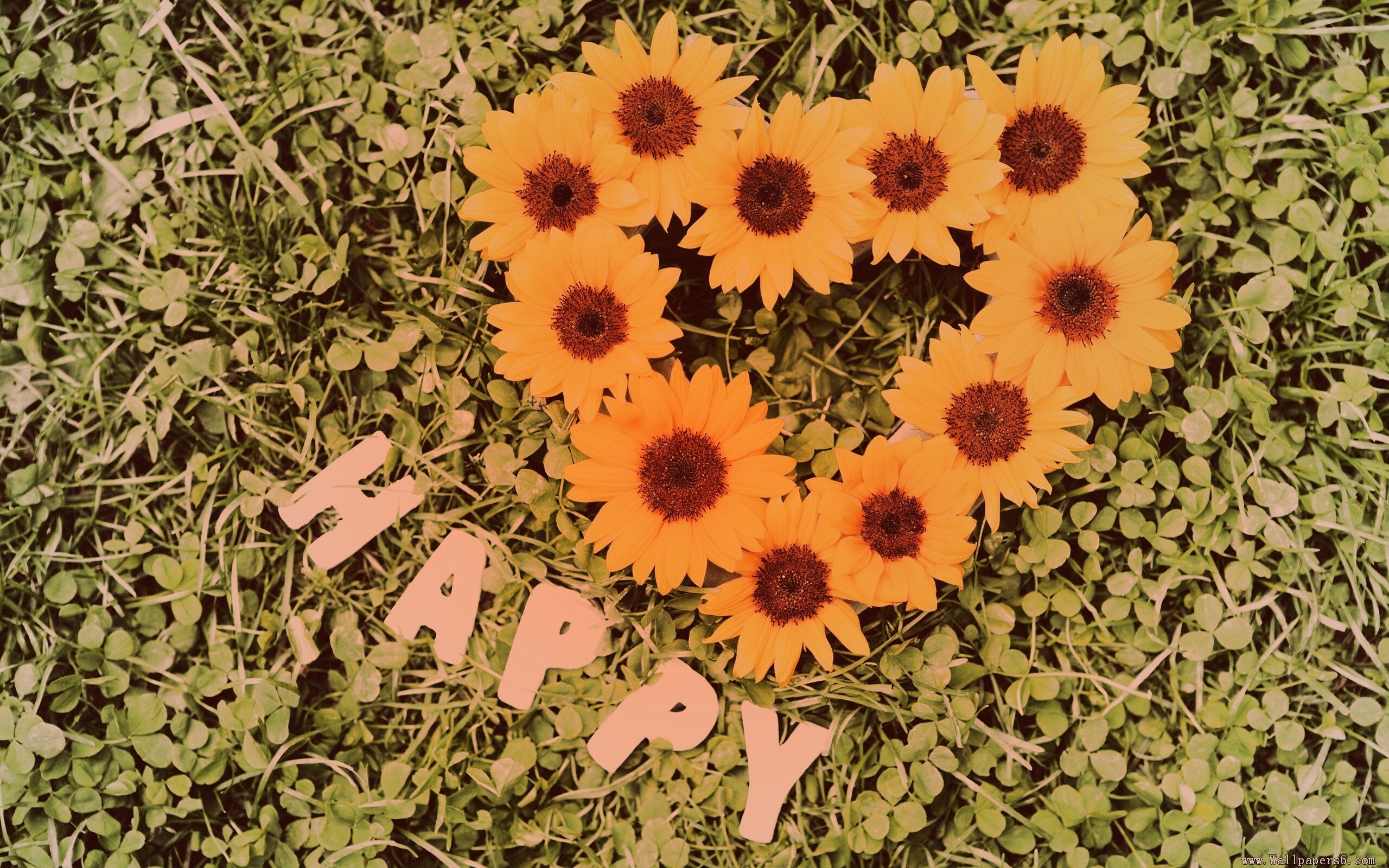 Радость обои