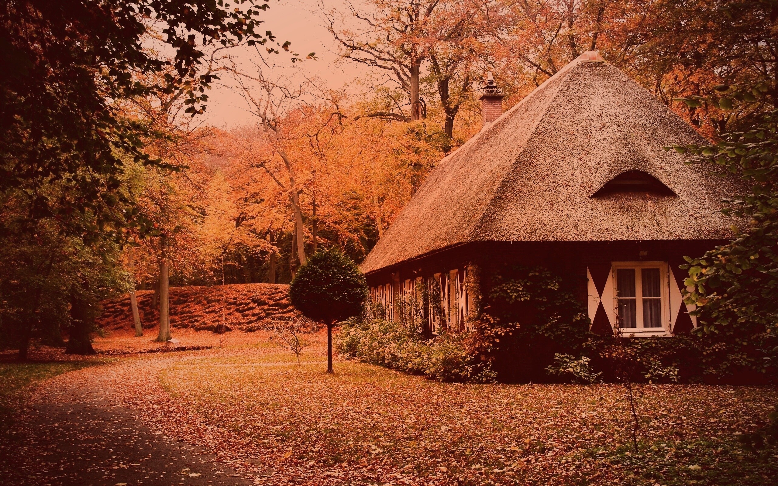 Домик в осеннем лесу обои