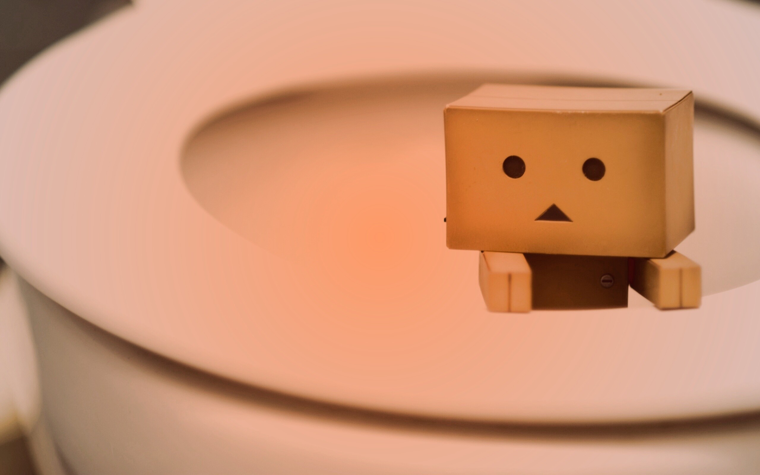 Danbo в унитазе обои